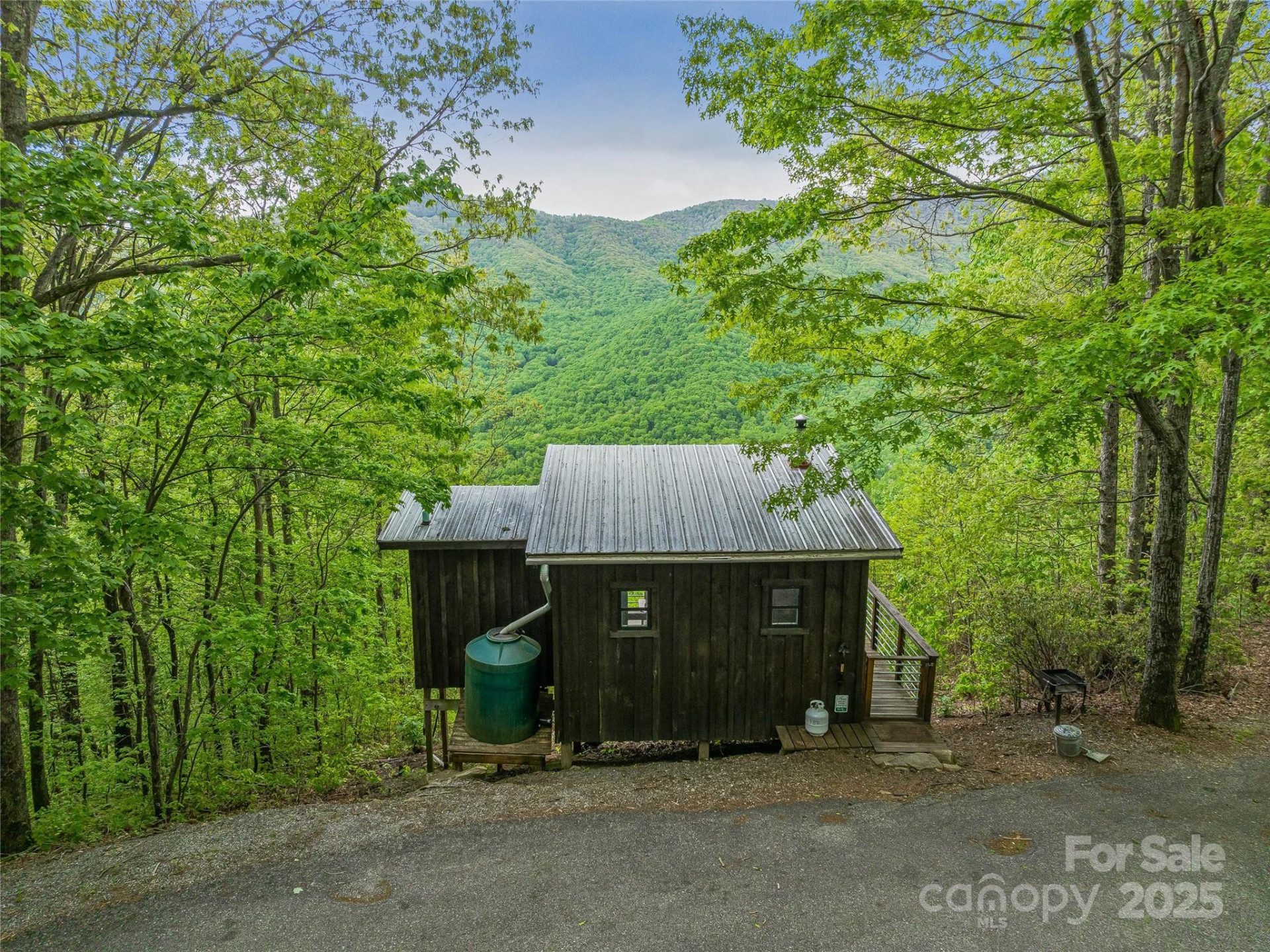 59 Pisgah Mountain Trail - Photo 12