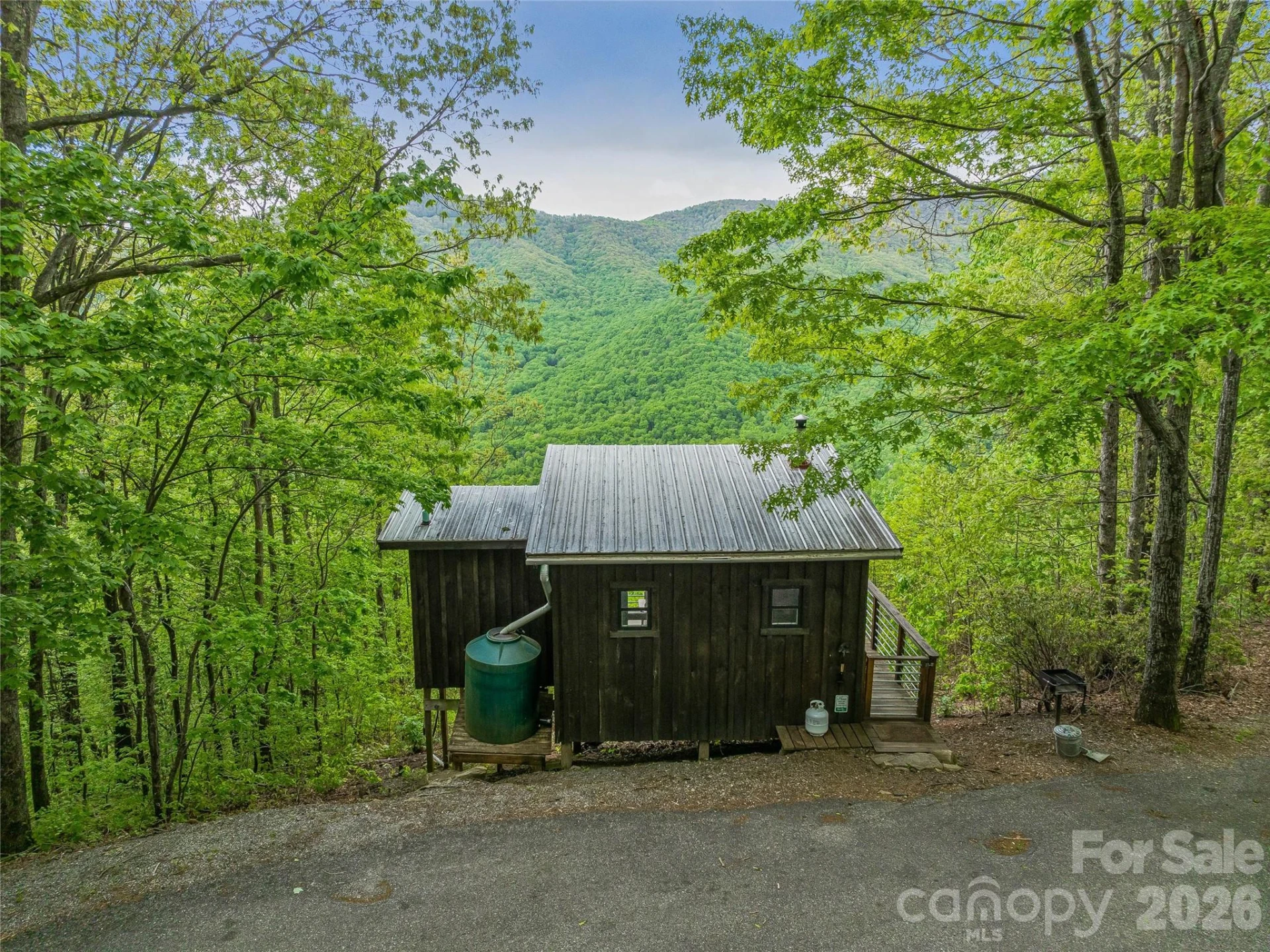 59 Pisgah Mountain Trail - Photo 23