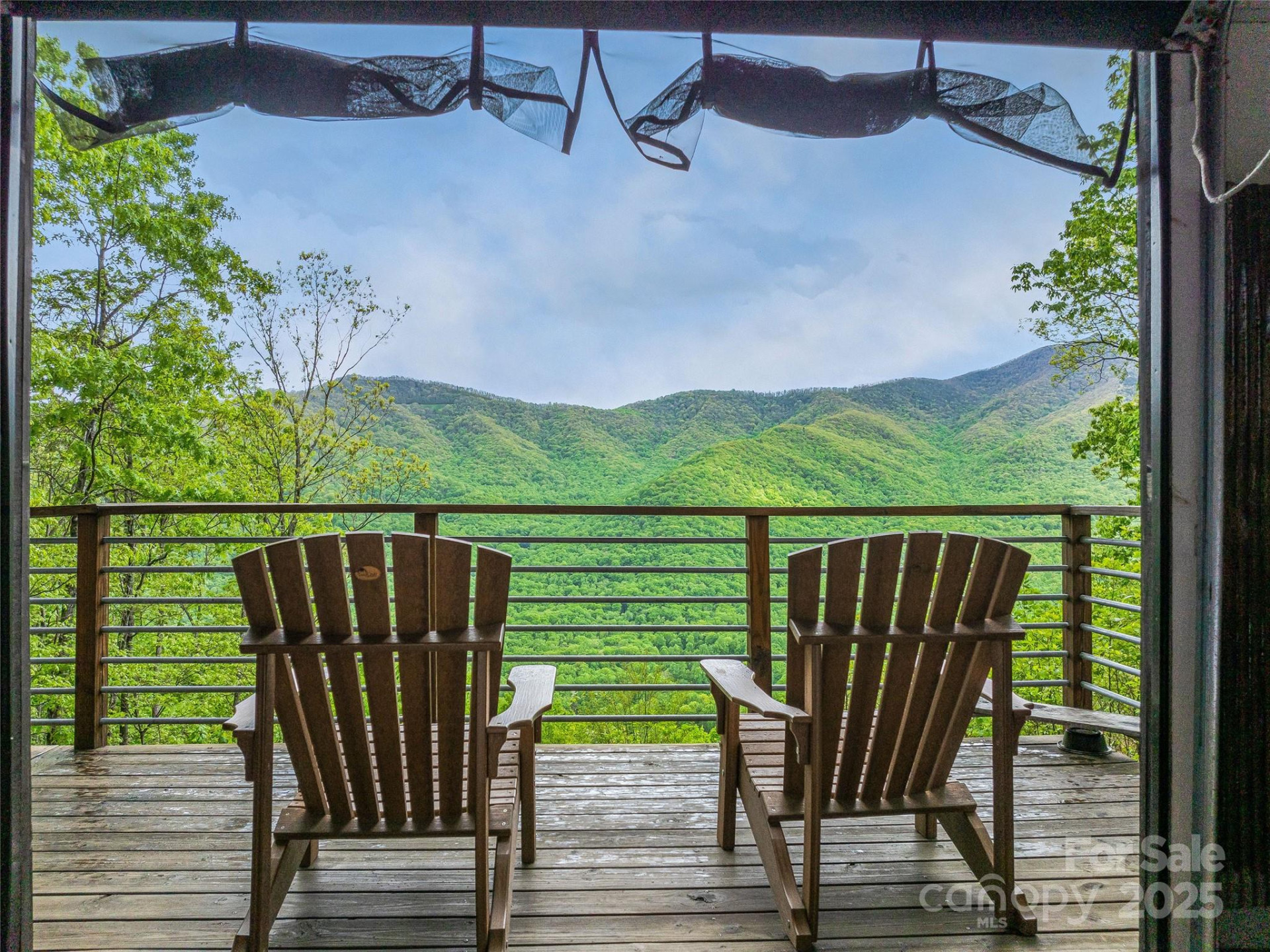 59 Pisgah Mountain Trail - Photo 13