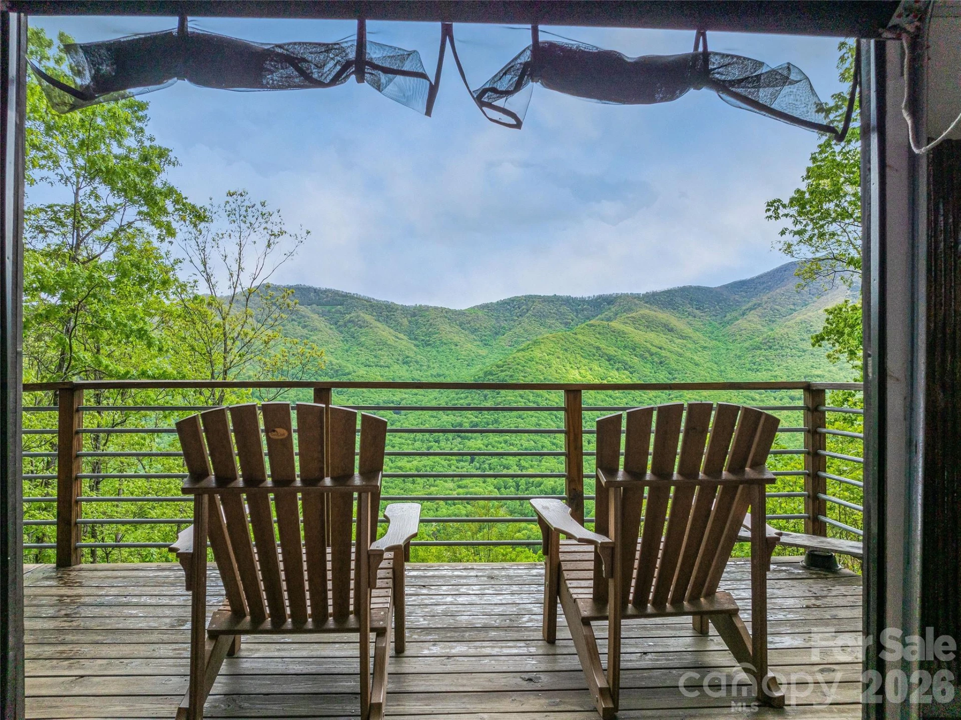 59 Pisgah Mountain Trail - Photo 25