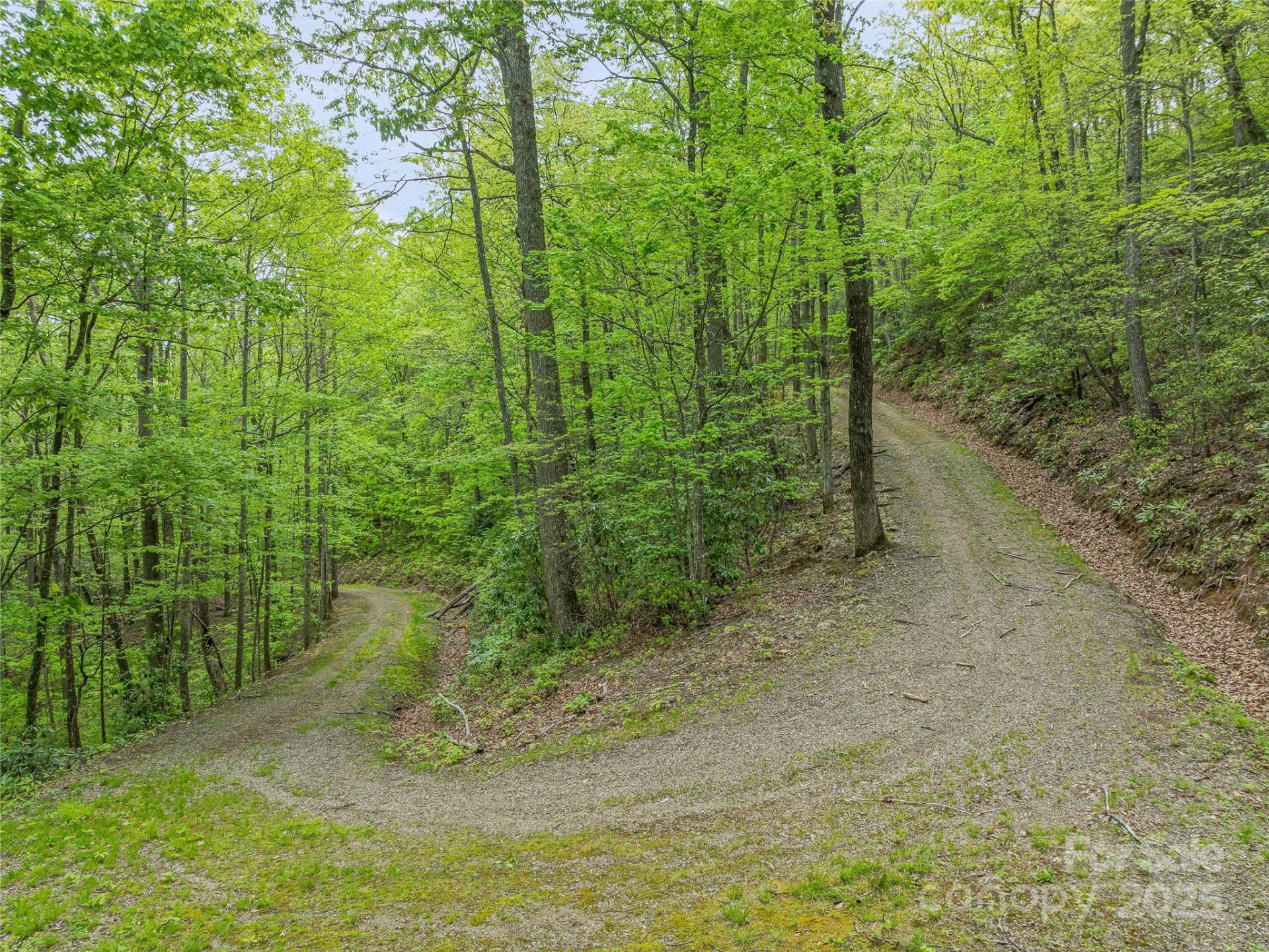59 Pisgah Mountain Trail - Photo 17