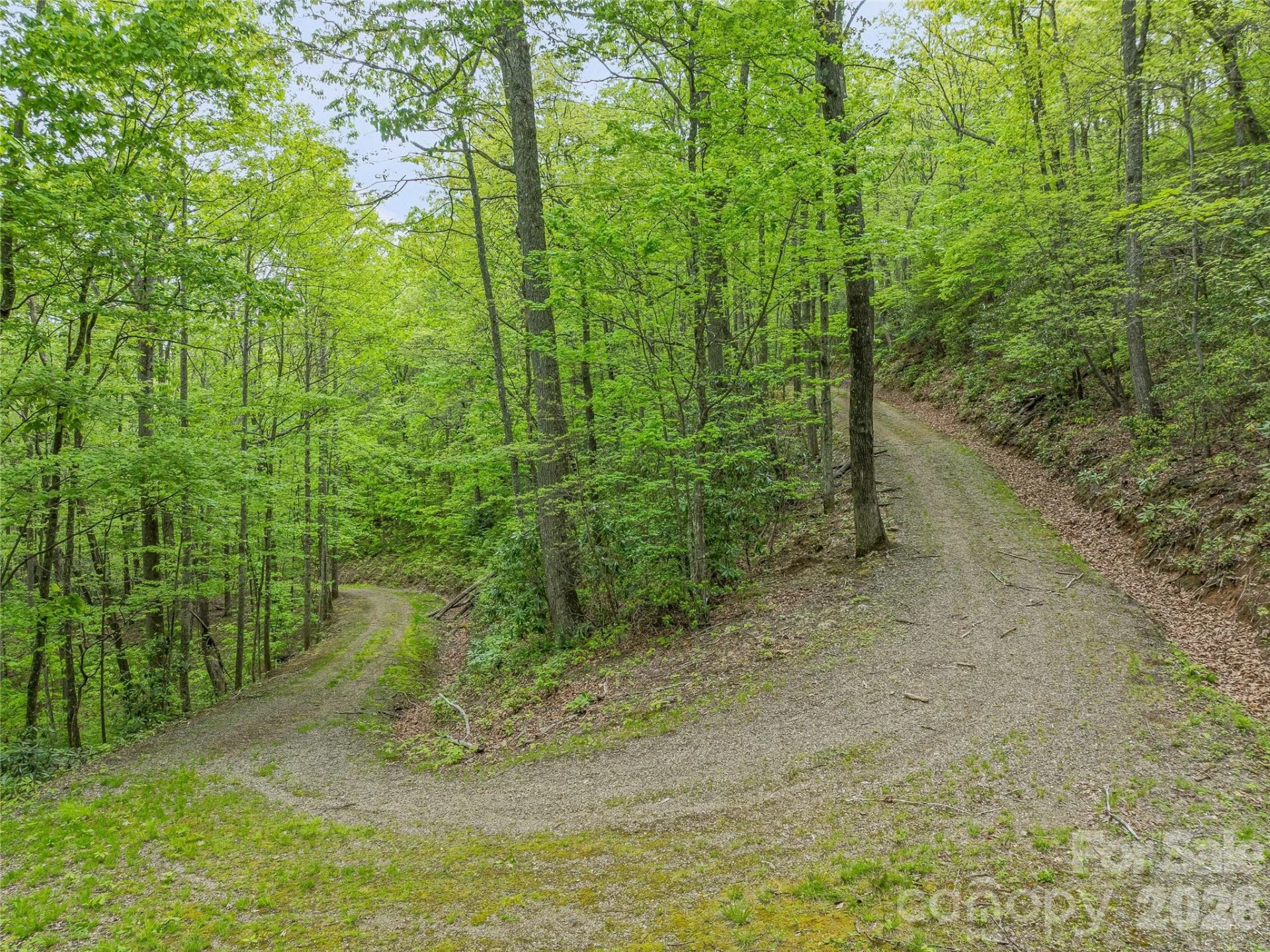 59 Pisgah Mountain Trail - Photo 33