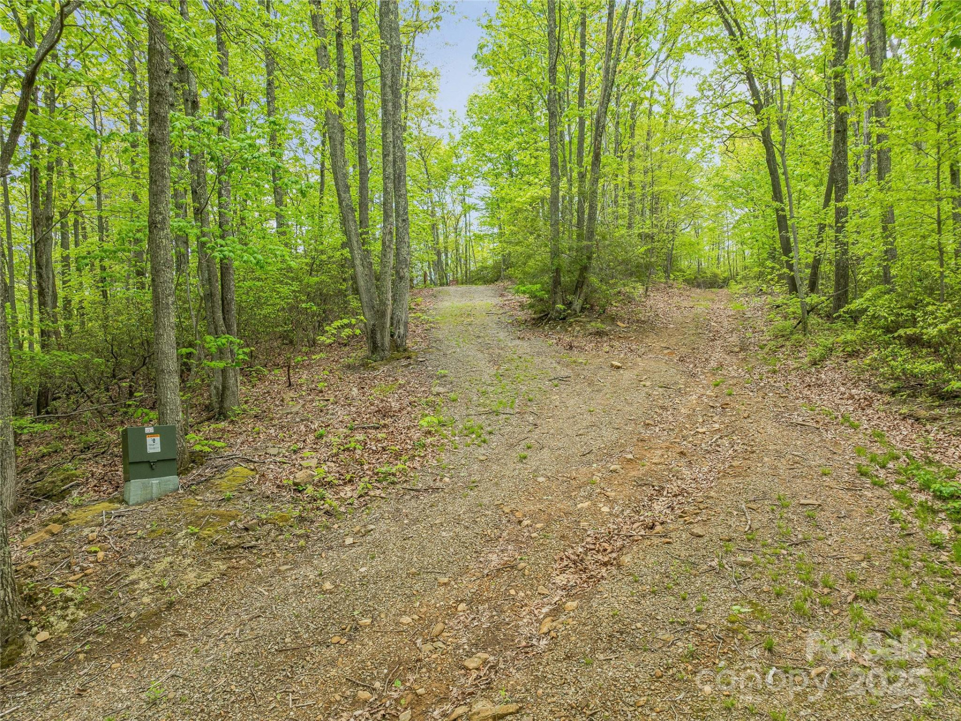 59 Pisgah Mountain Trail - Photo 18