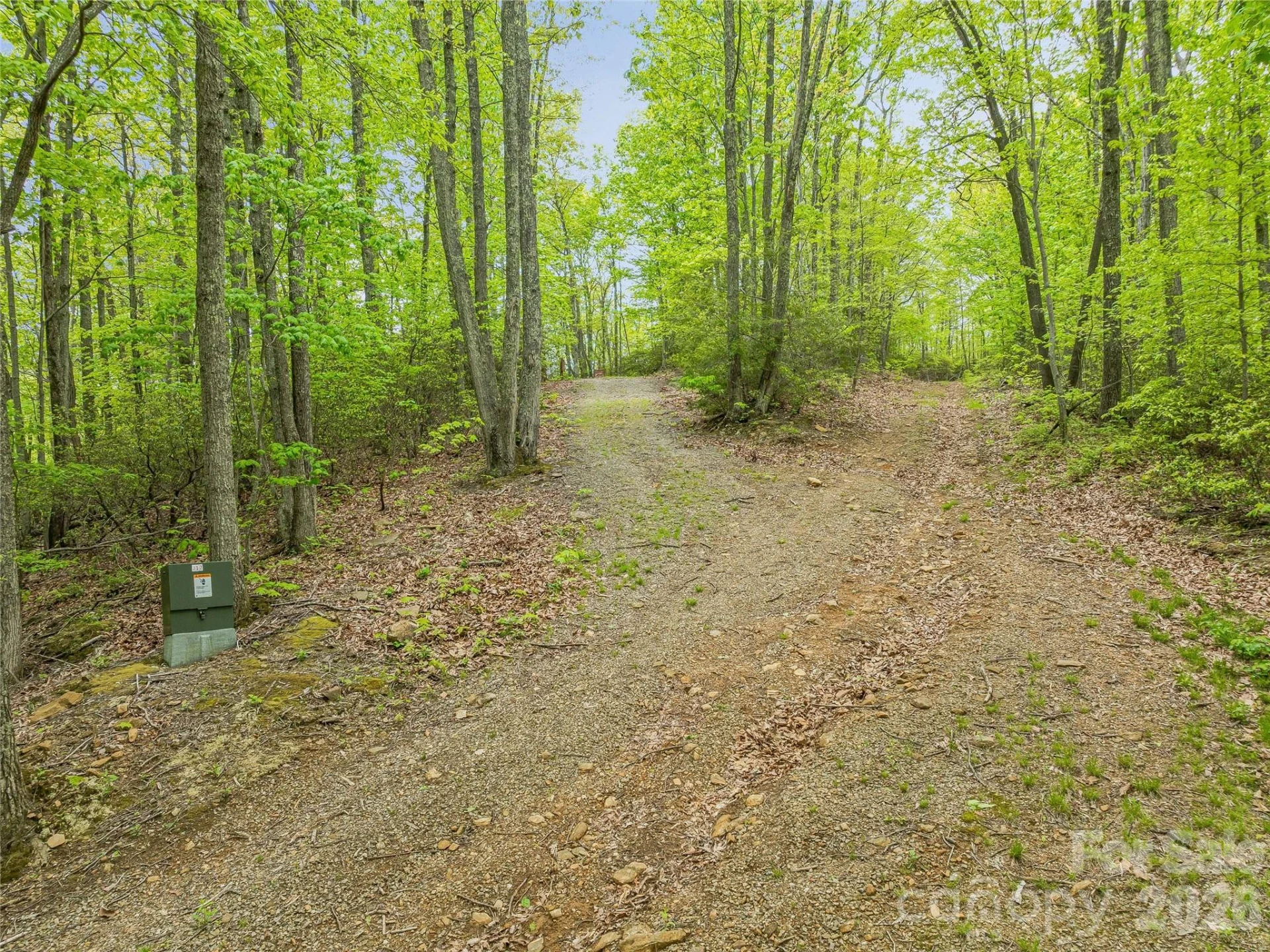 59 Pisgah Mountain Trail - Photo 35