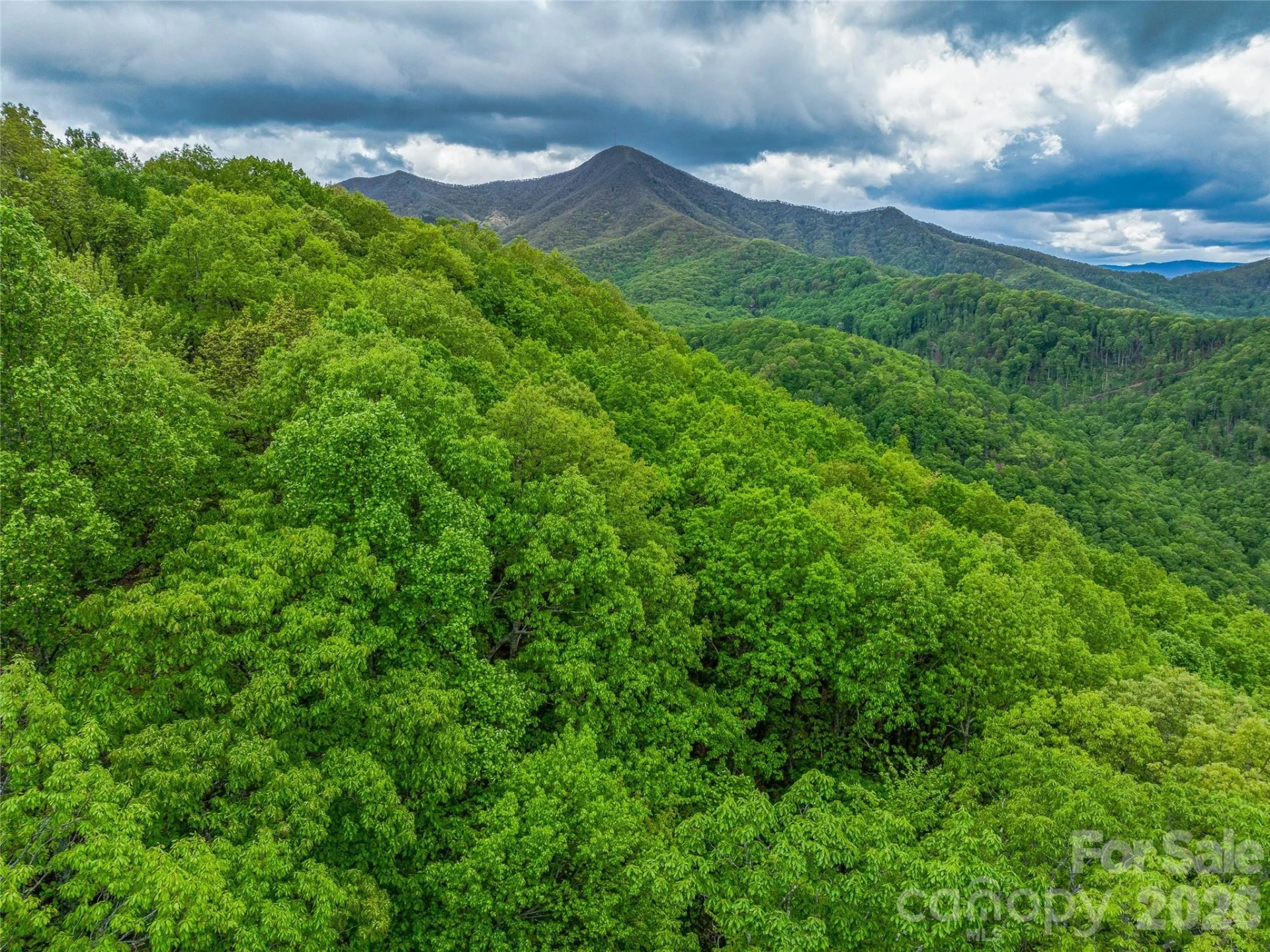 59 Pisgah Mountain Trail - Photo 5