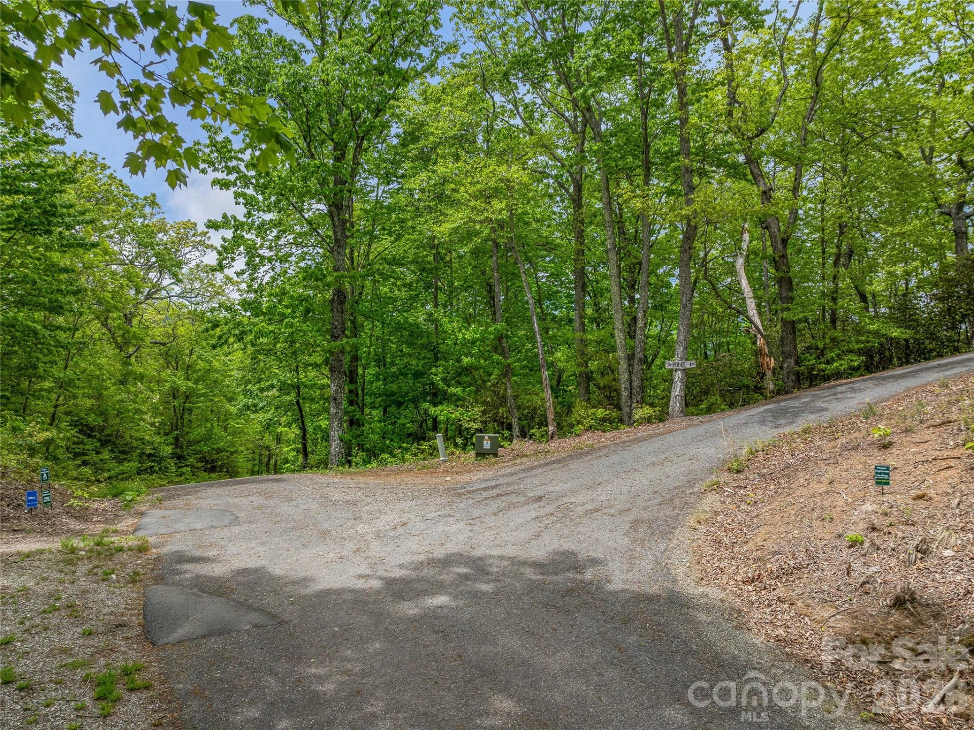 59 Pisgah Mountain Trail - Photo 47
