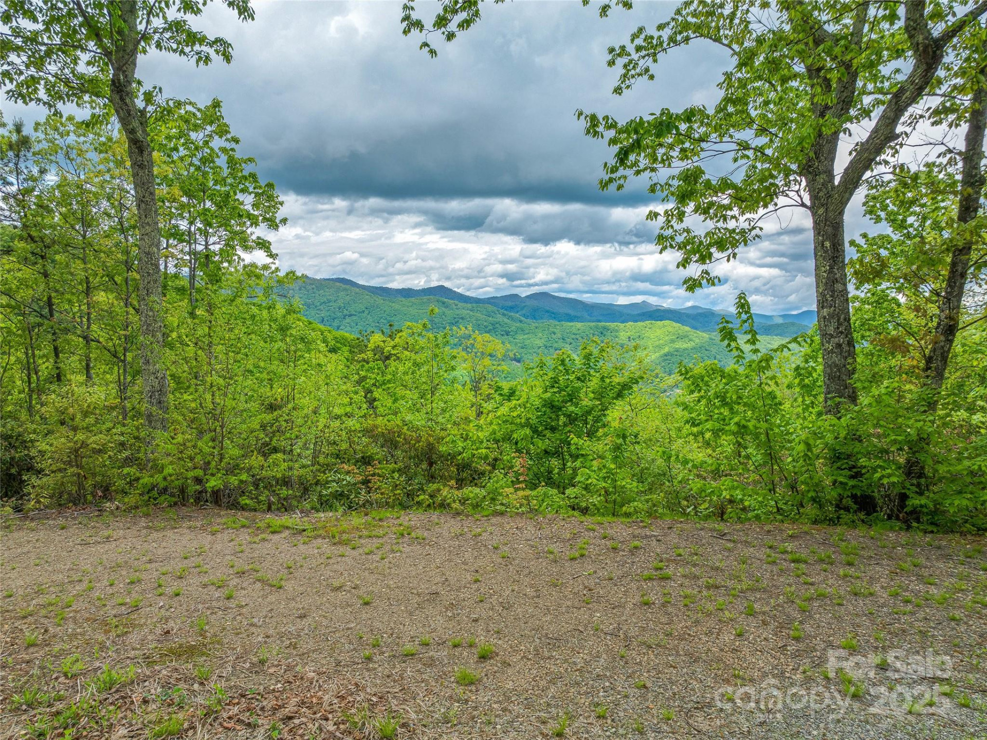 59 Pisgah Mountain Trail - Photo 25