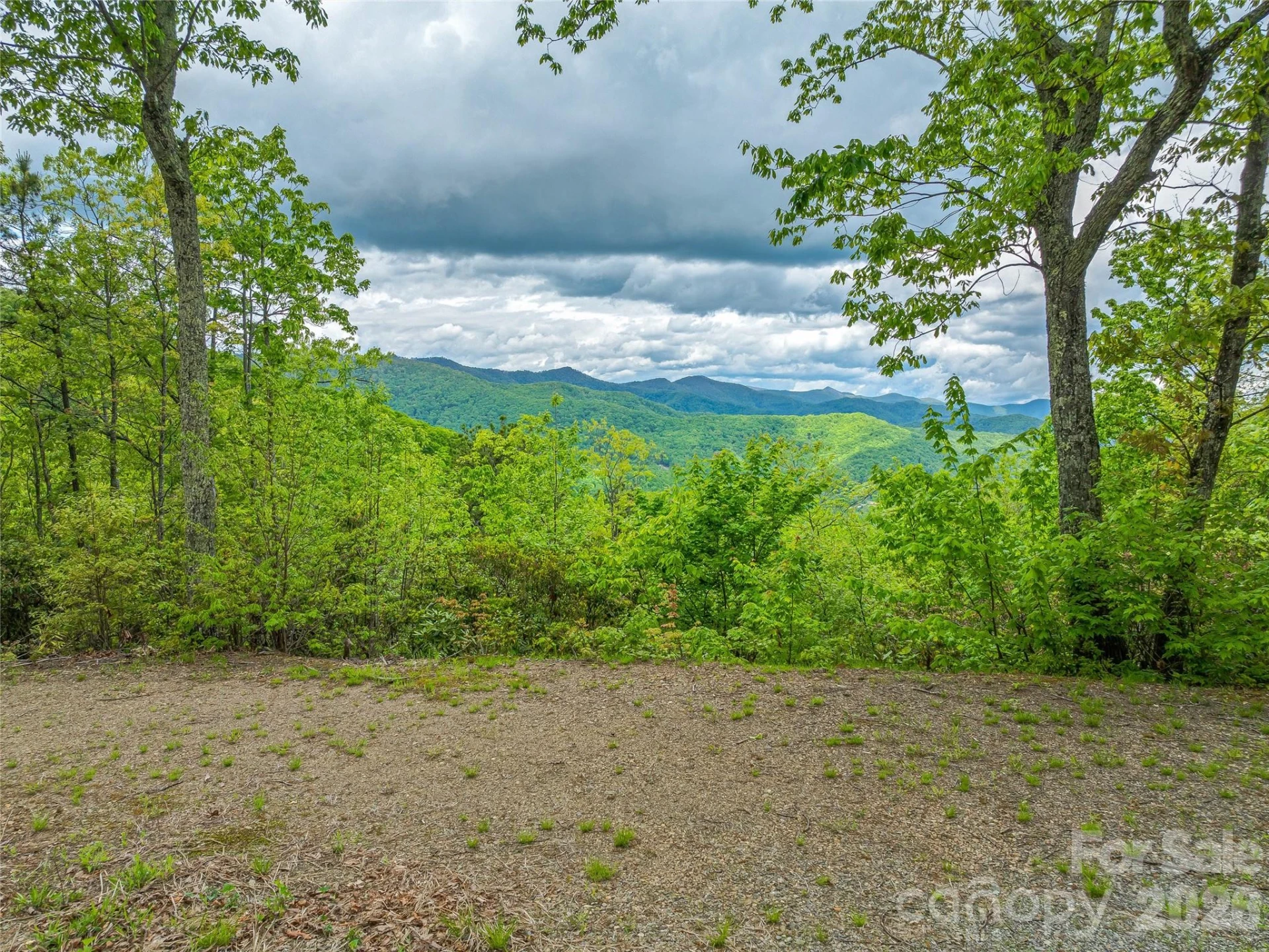 59 Pisgah Mountain Trail - Photo 49