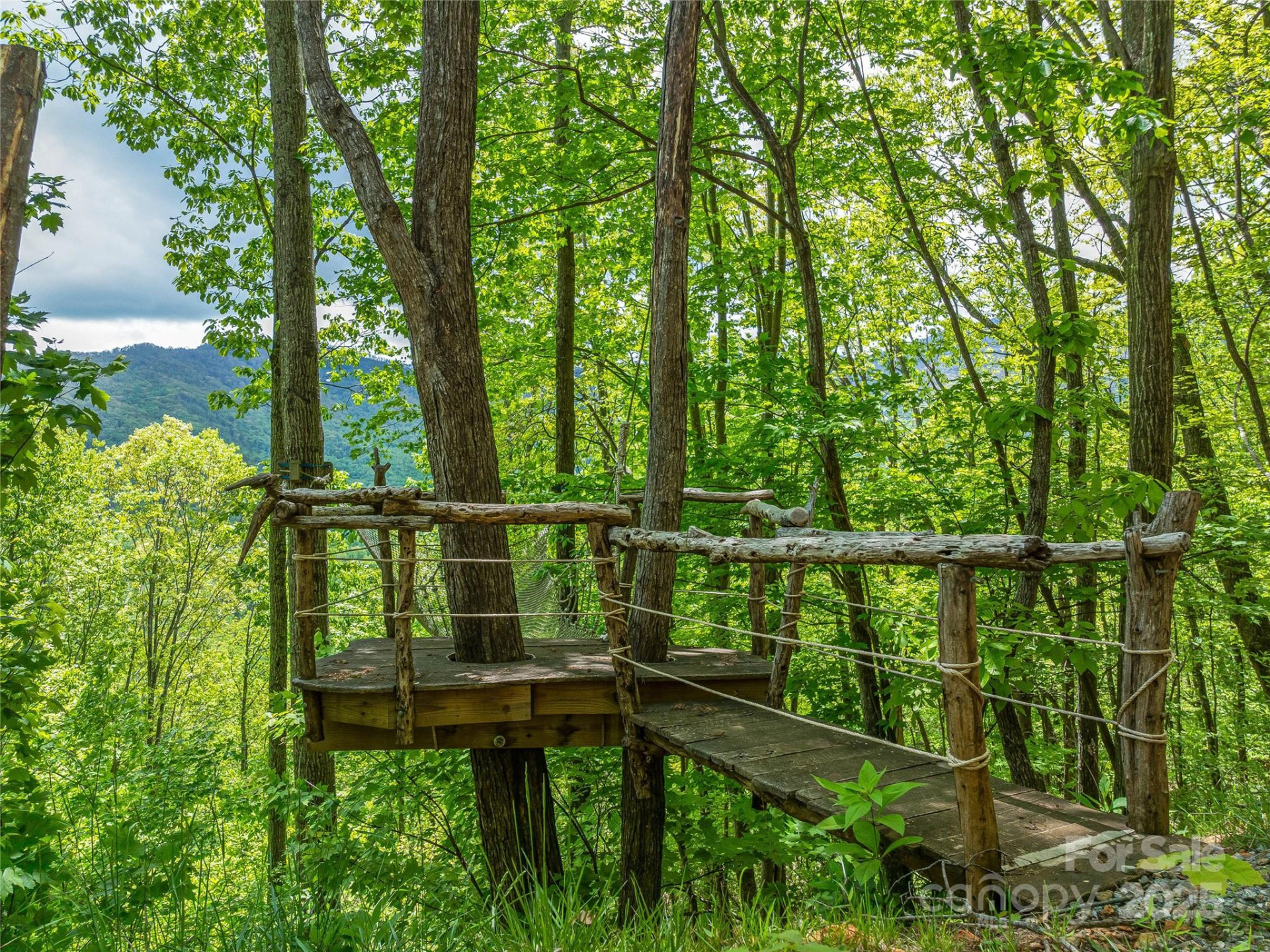 59 Pisgah Mountain Trail - Photo 26