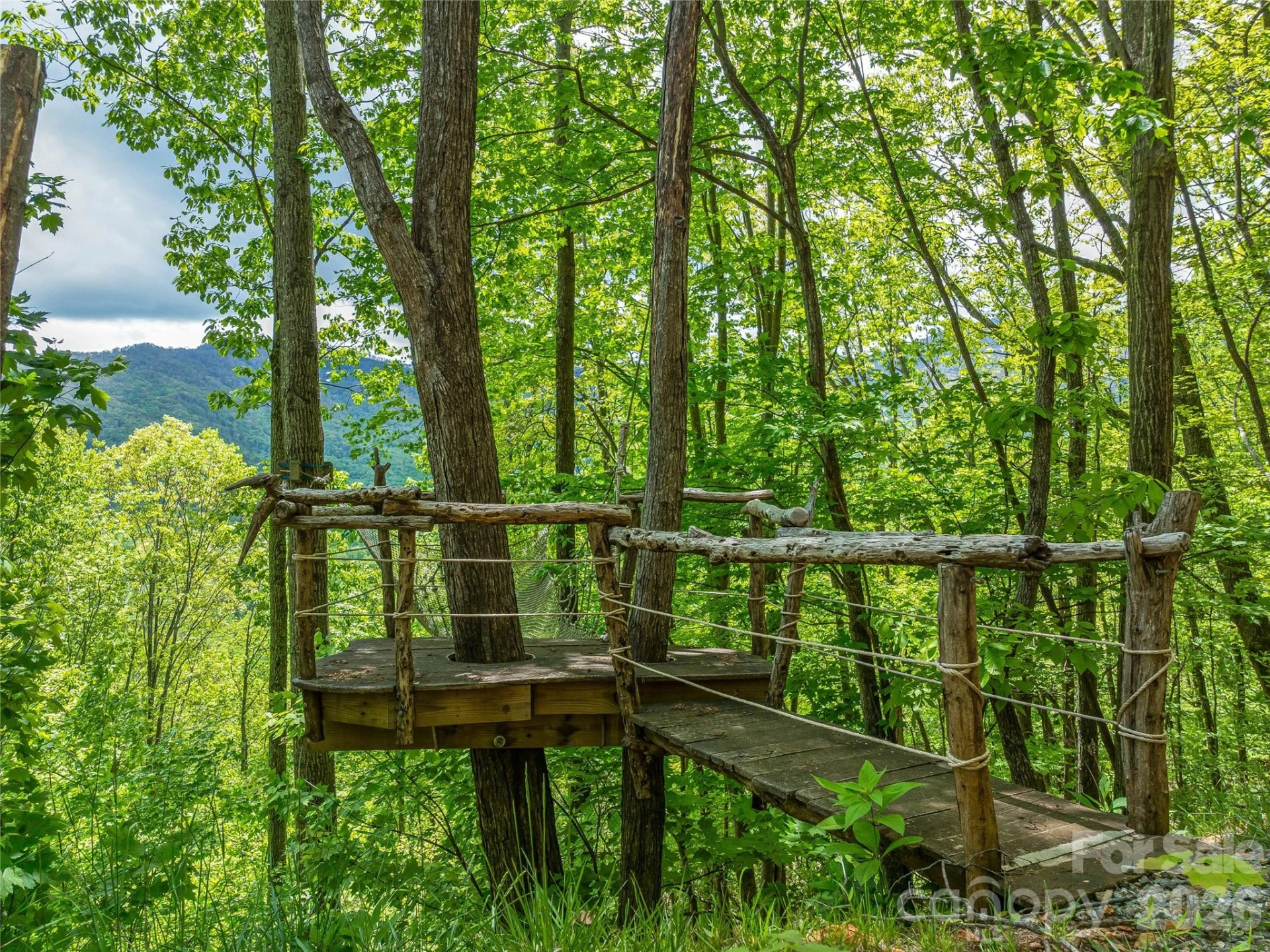 59 Pisgah Mountain Trail - Photo 51