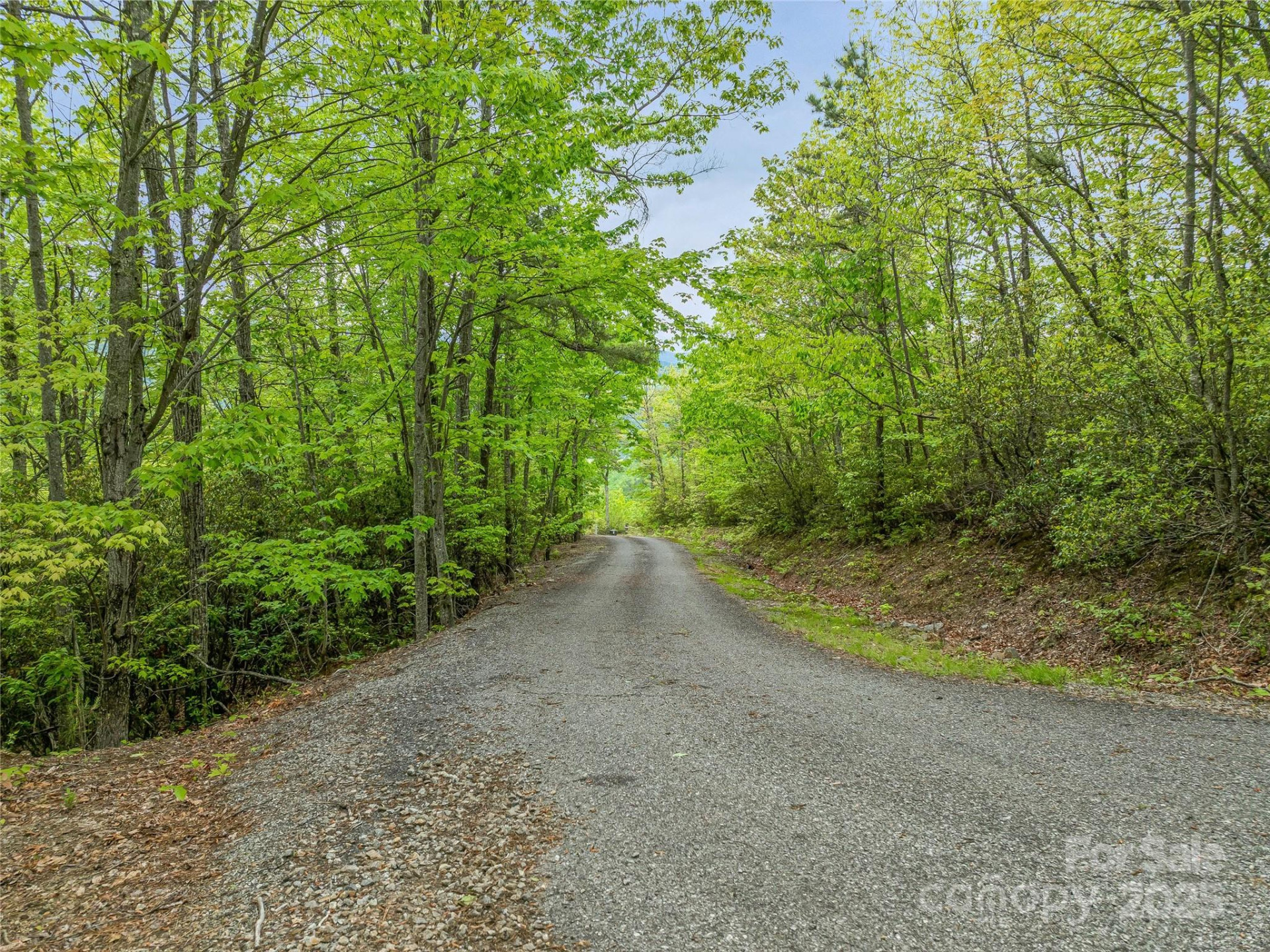 59 Pisgah Mountain Trail - Photo 27