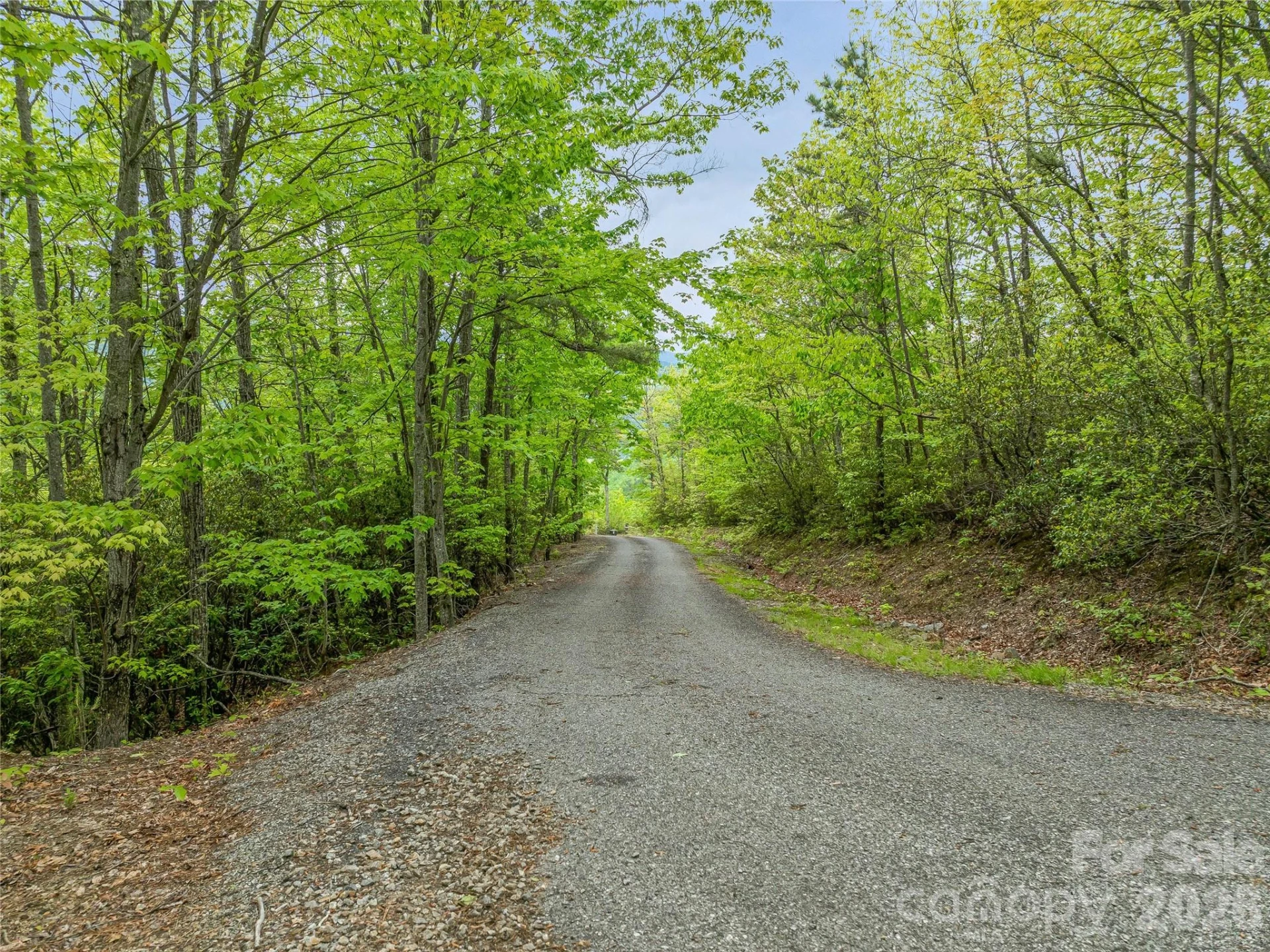59 Pisgah Mountain Trail - Photo 53
