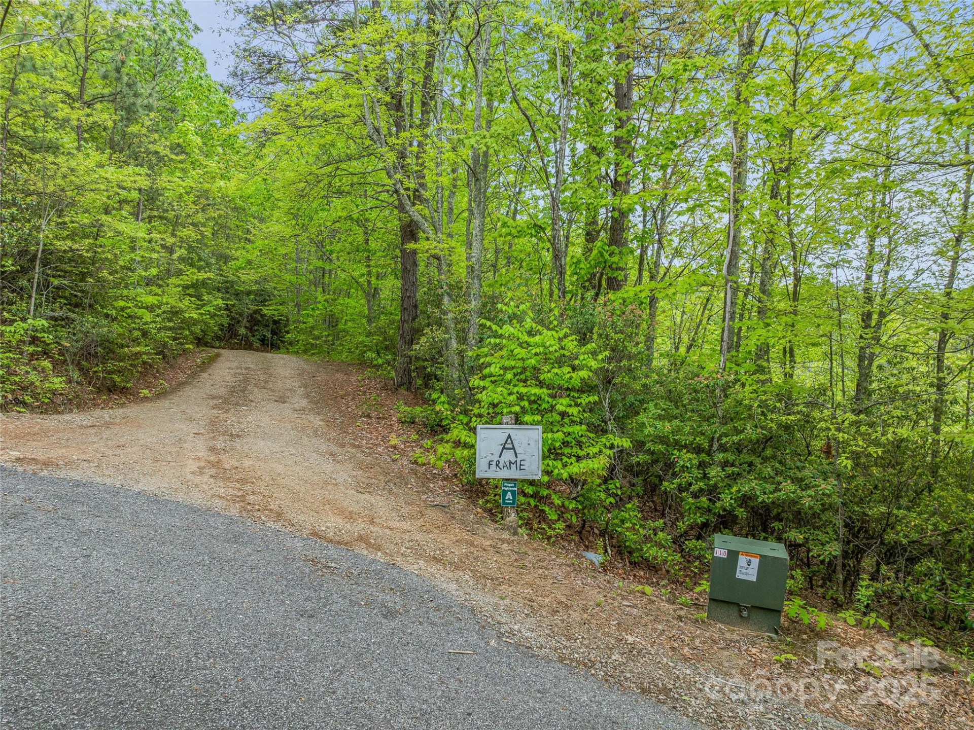 59 Pisgah Mountain Trail - Photo 28
