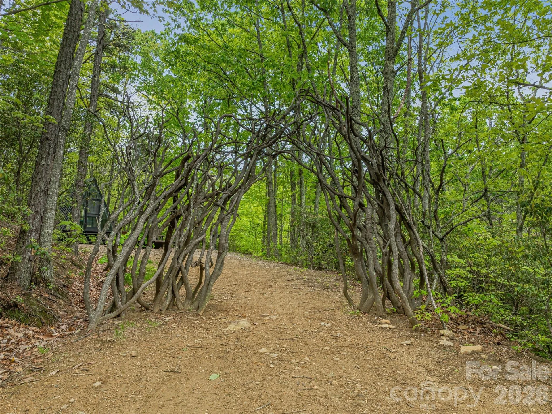 59 Pisgah Mountain Trail - Photo 57