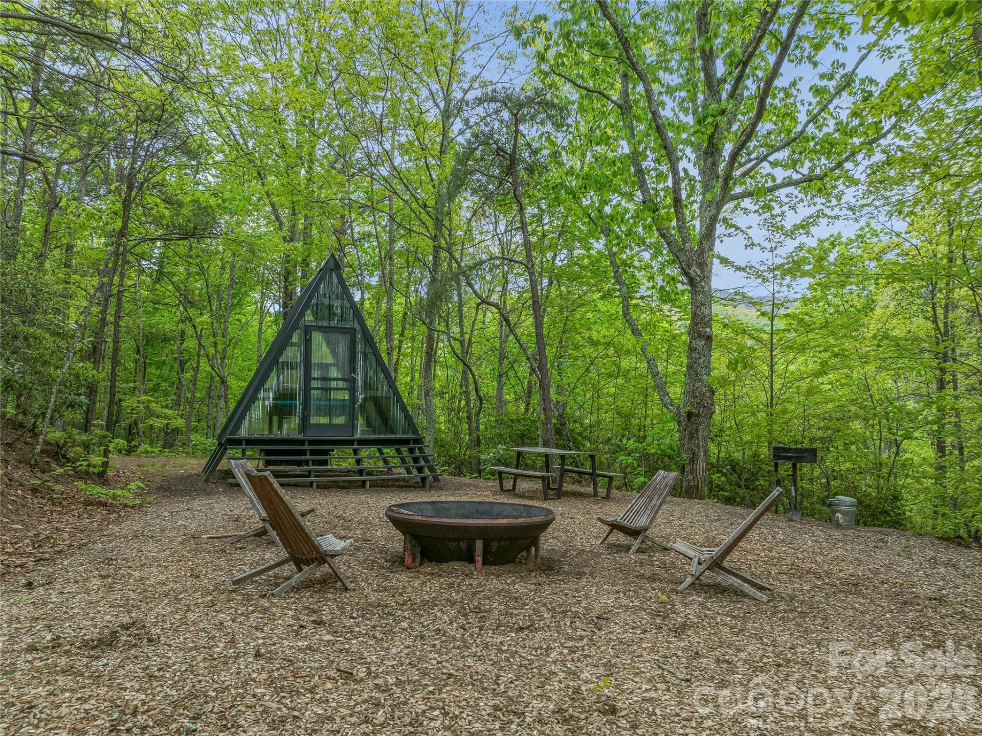 59 Pisgah Mountain Trail - Photo 59