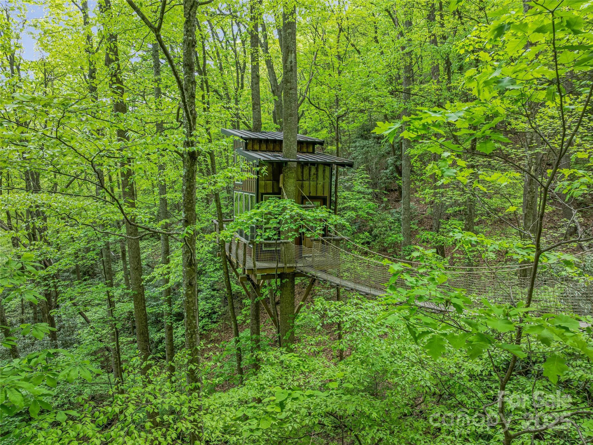 59 Pisgah Mountain Trail - Photo 4