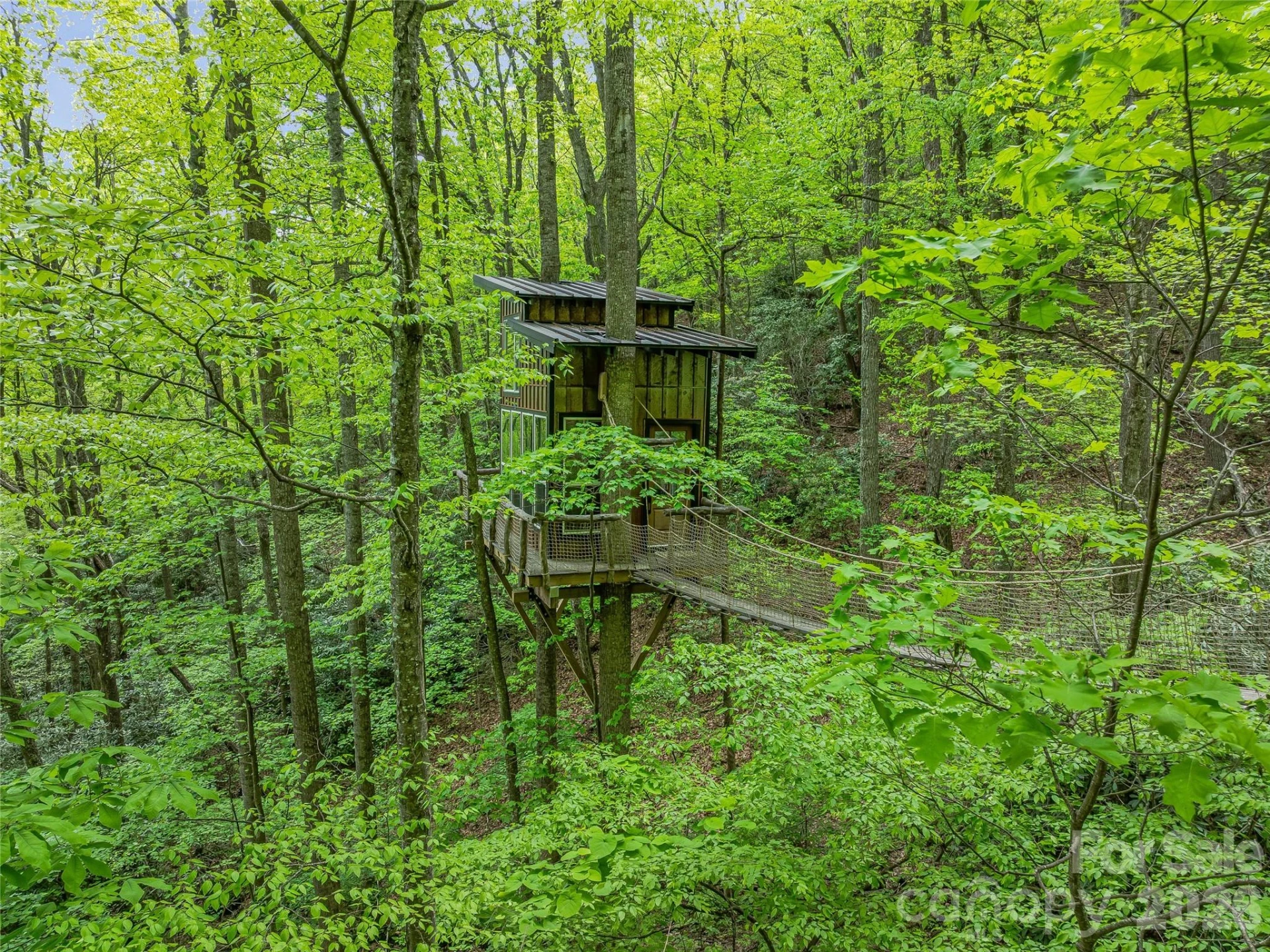 59 Pisgah Mountain Trail - Photo 7