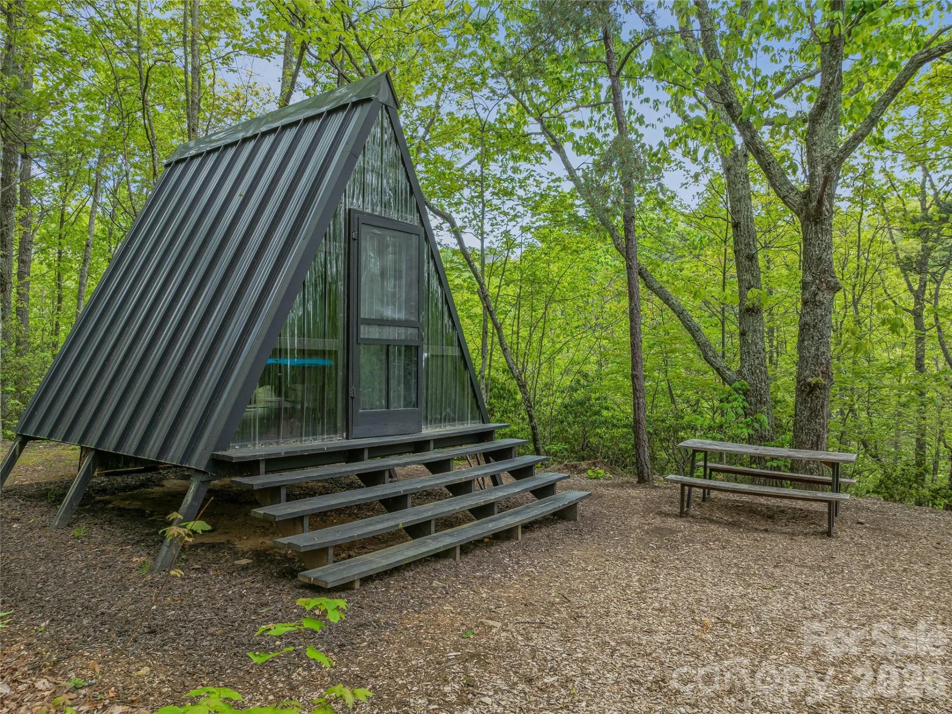 59 Pisgah Mountain Trail - Photo 61