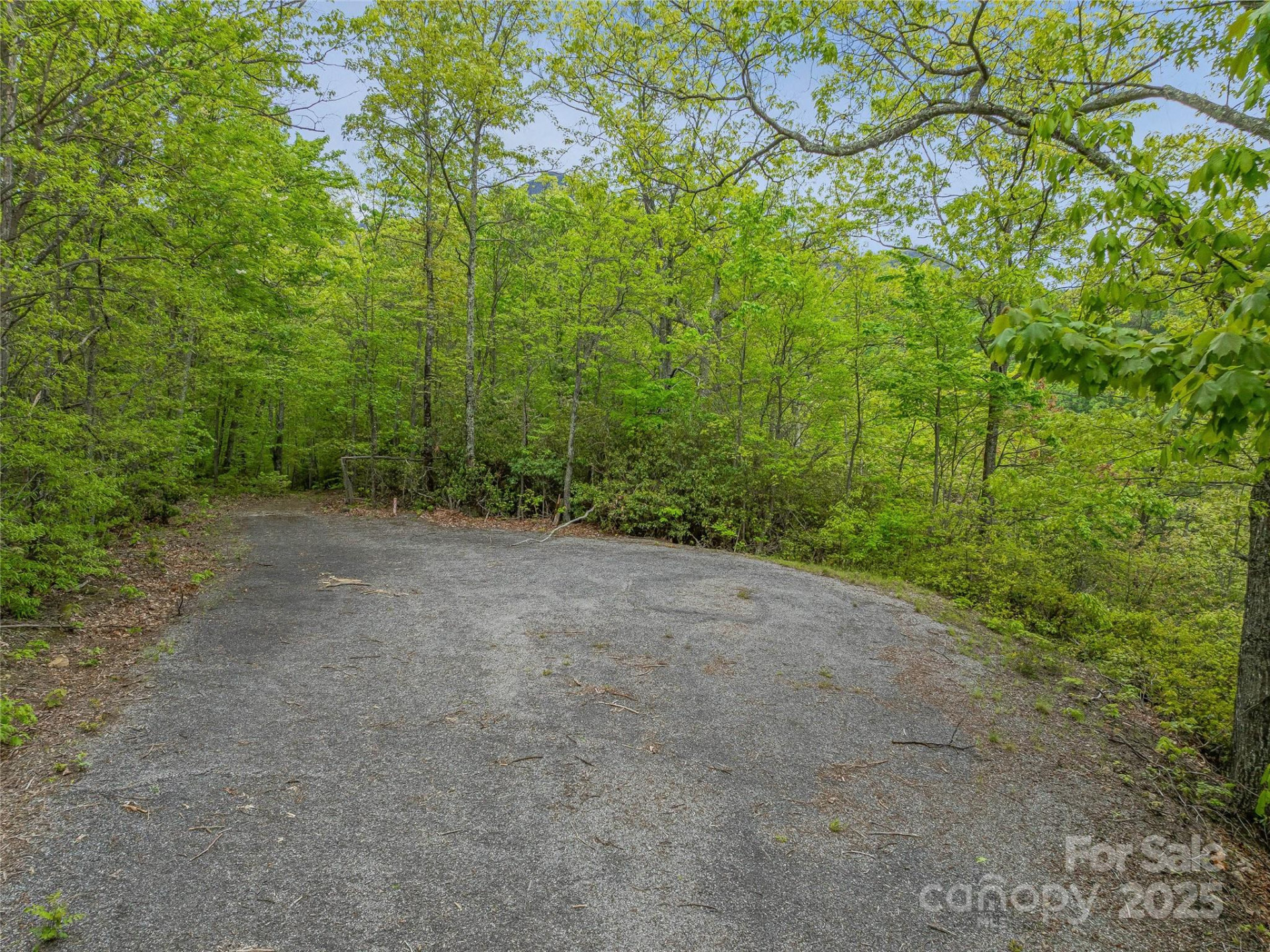 59 Pisgah Mountain Trail - Photo 32