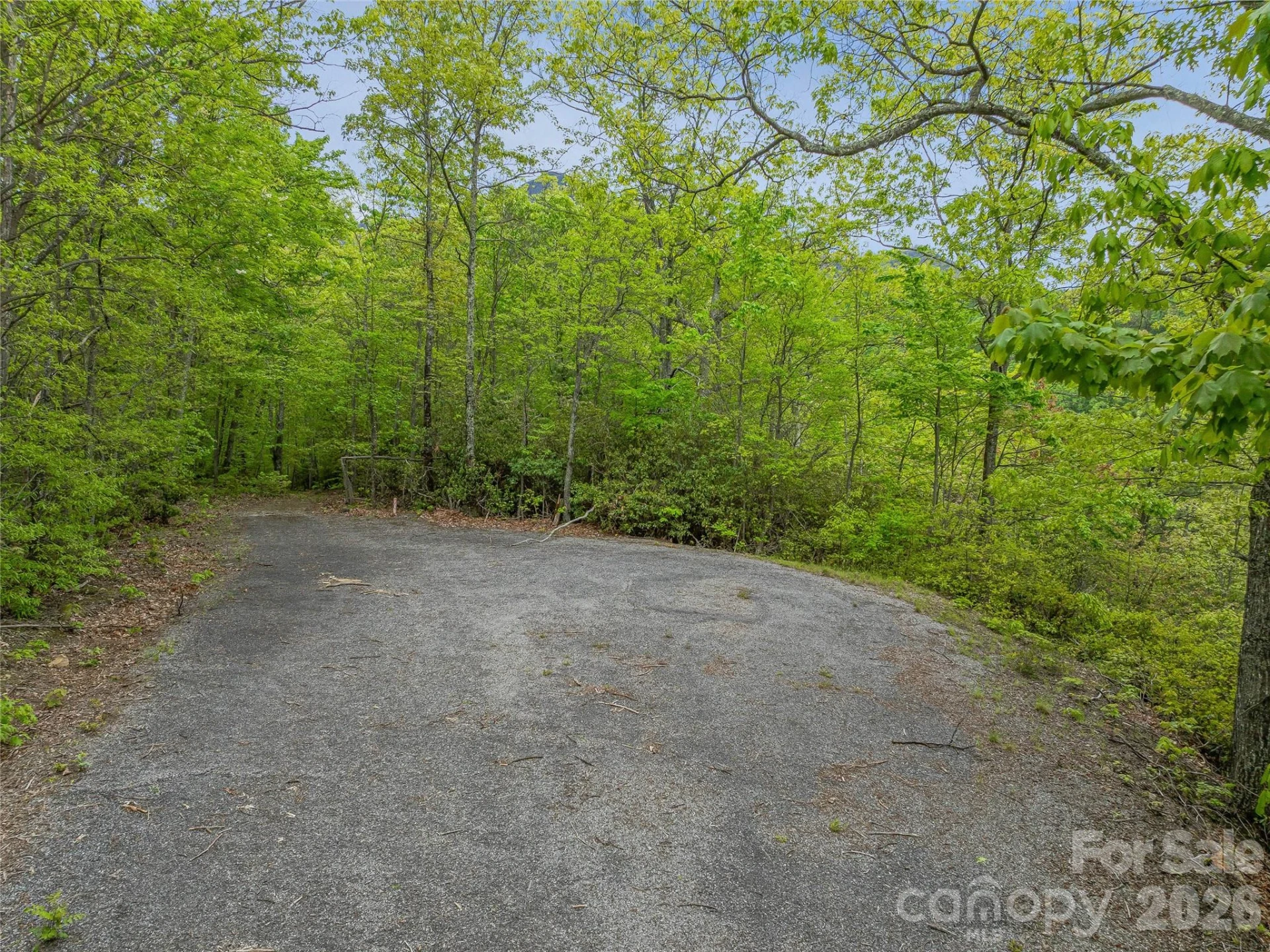 59 Pisgah Mountain Trail - Photo 63