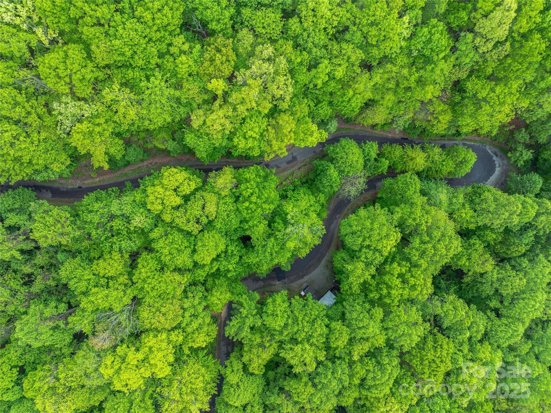 59 Pisgah Mountain Trail - Photo 33