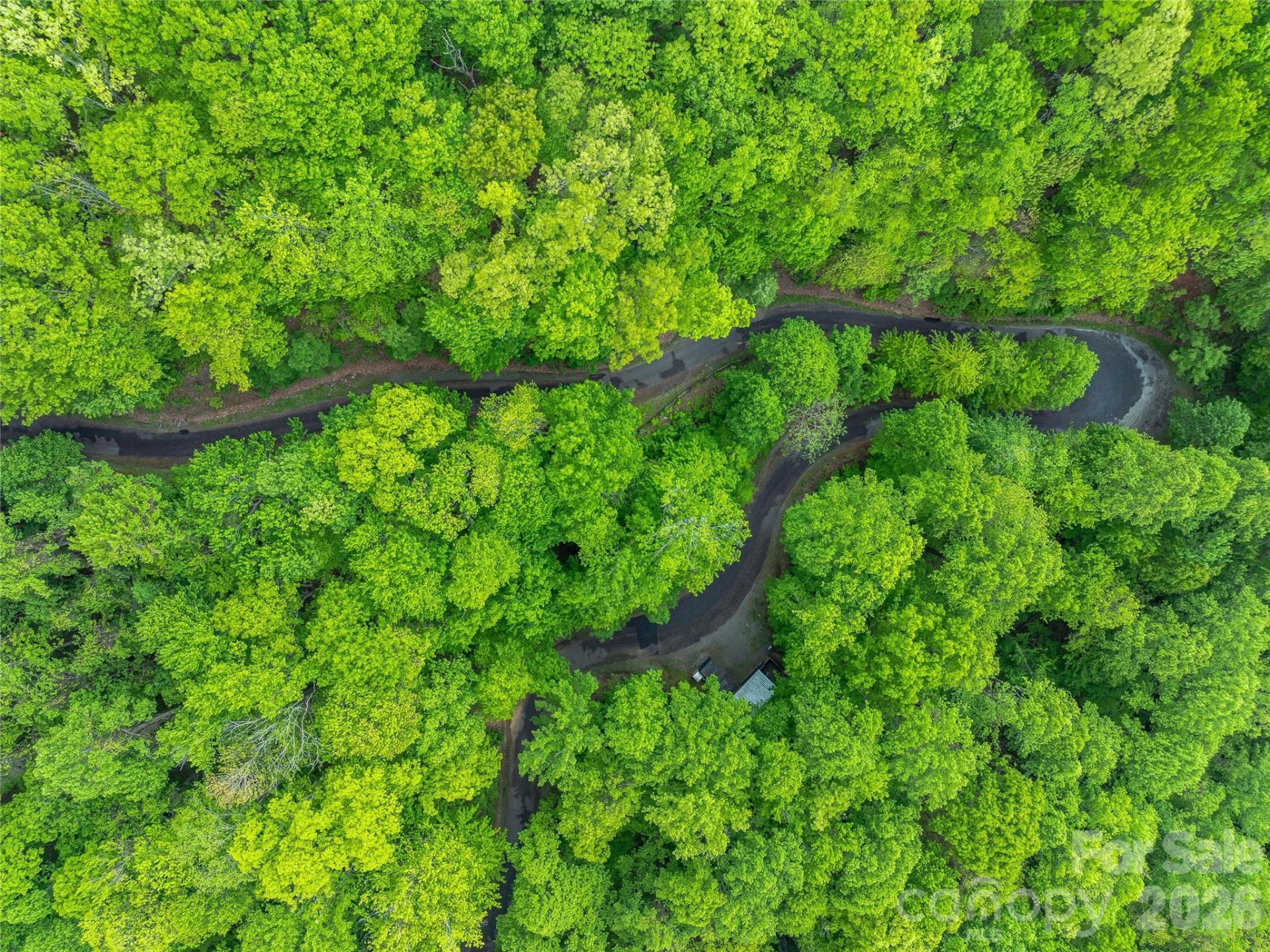 59 Pisgah Mountain Trail - Photo 65