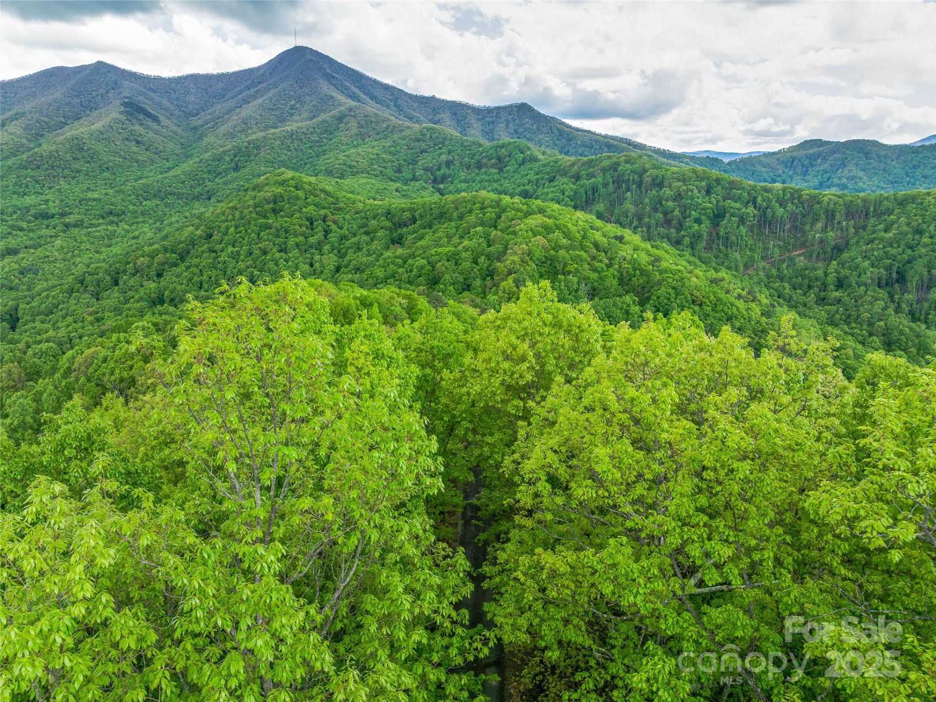 59 Pisgah Mountain Trail - Photo 34