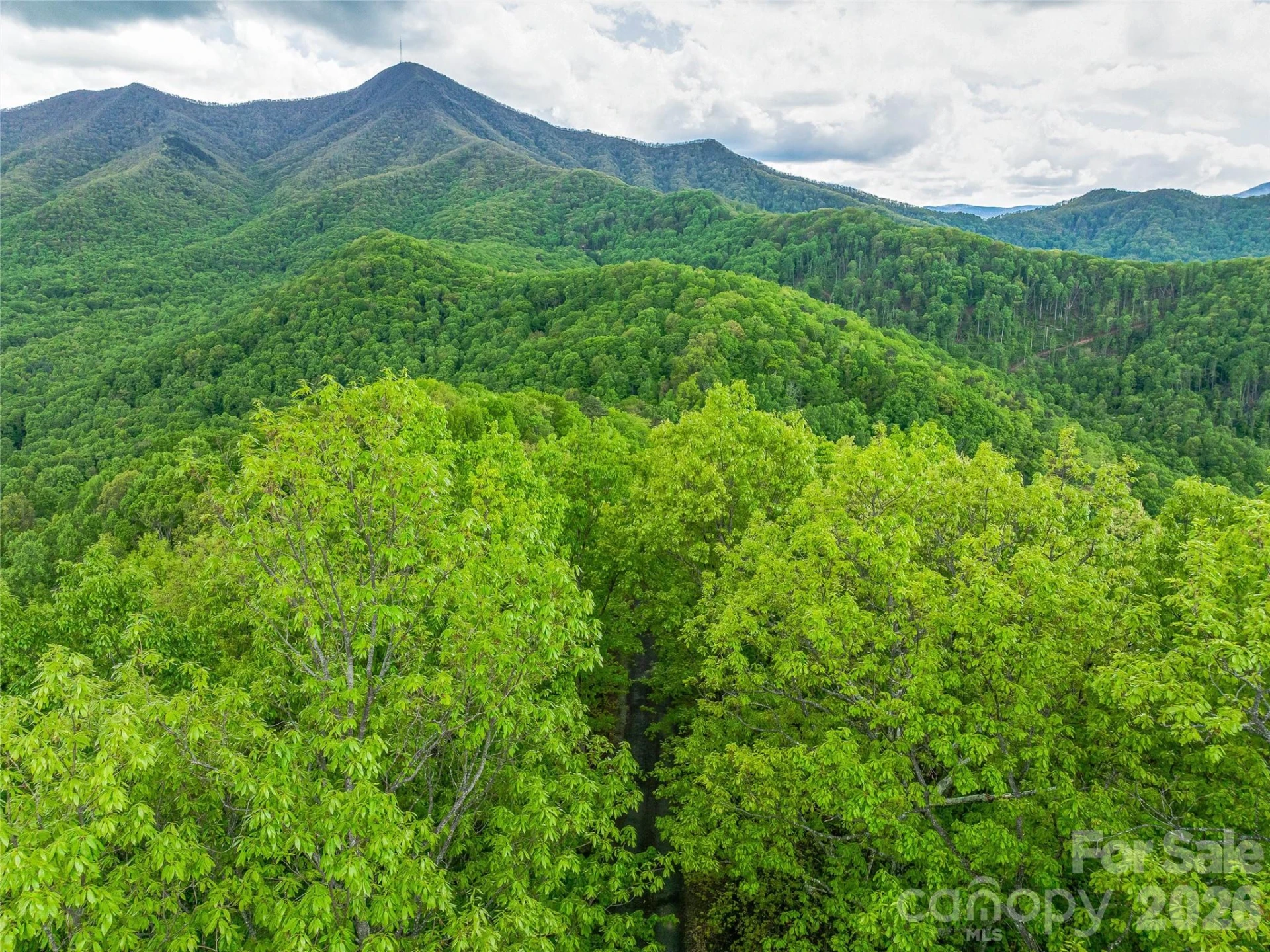 59 Pisgah Mountain Trail - Photo 67