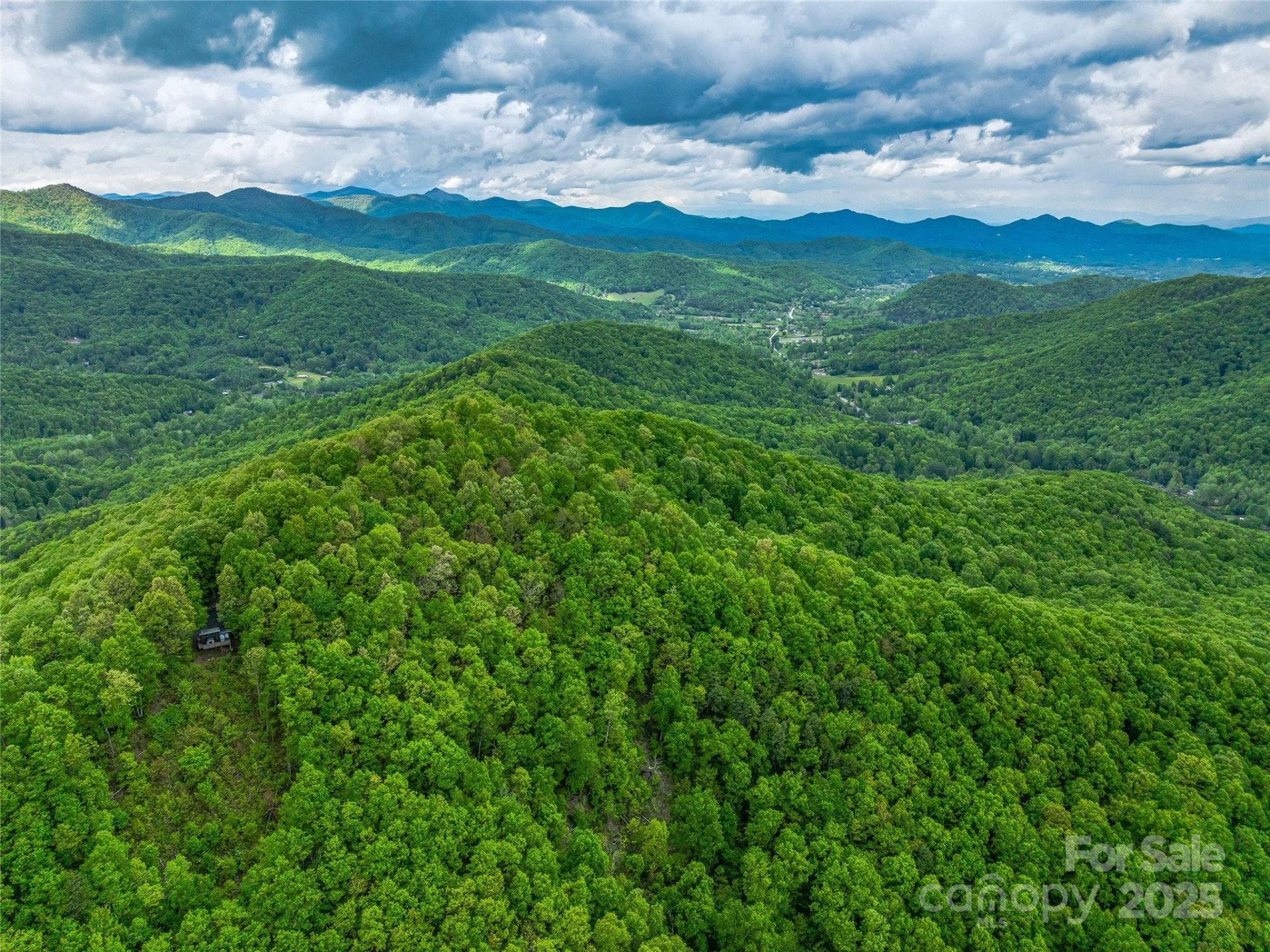 59 Pisgah Mountain Trail - Photo 35