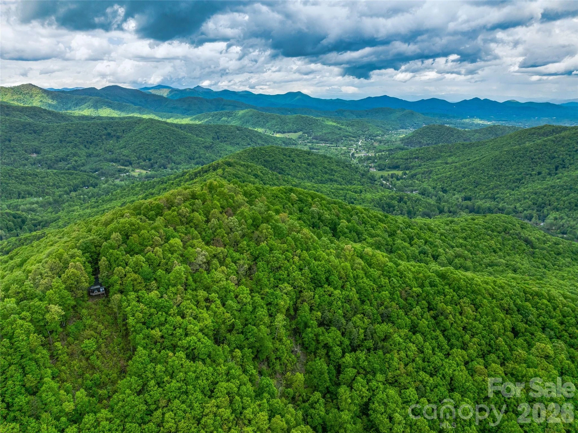 59 Pisgah Mountain Trail - Photo 69