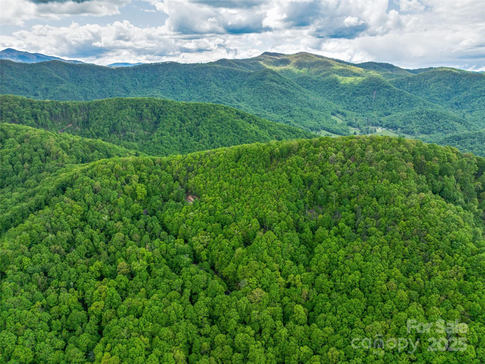 59 Pisgah Mountain Trail - Photo 36
