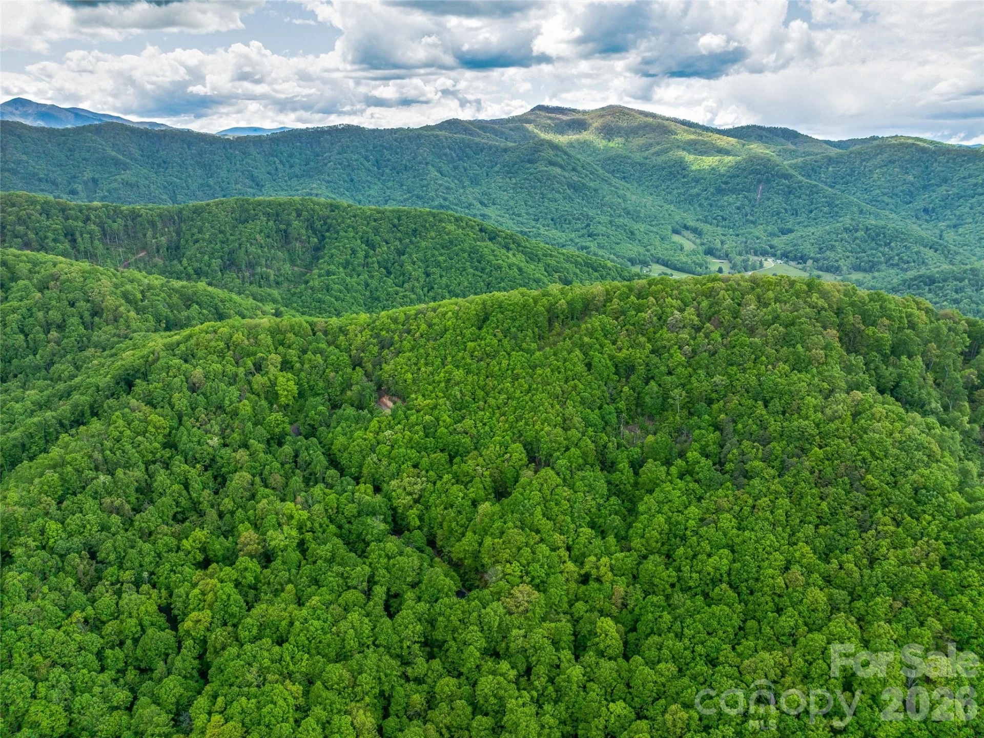59 Pisgah Mountain Trail - Photo 71