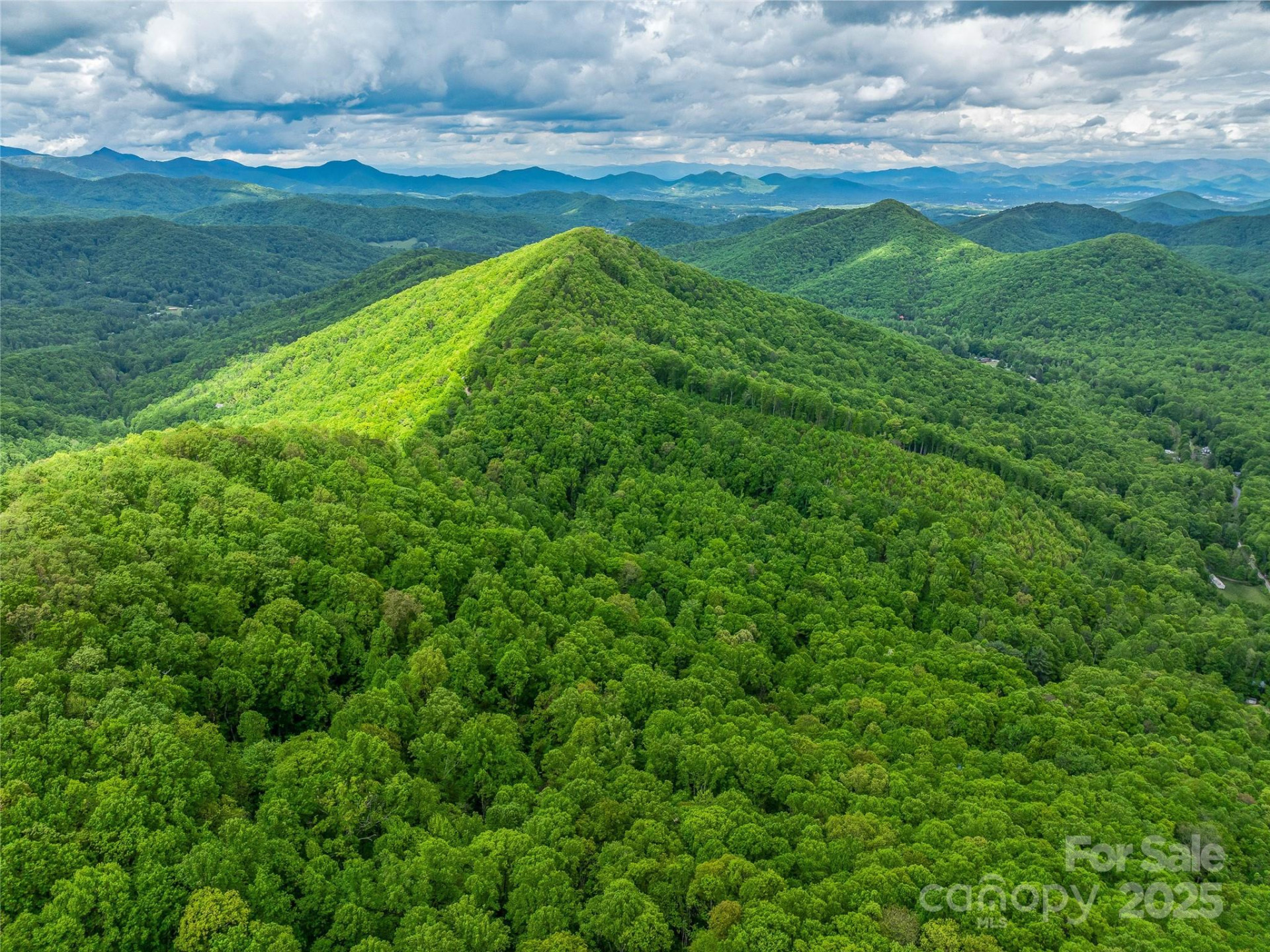 59 Pisgah Mountain Trail - Photo 37