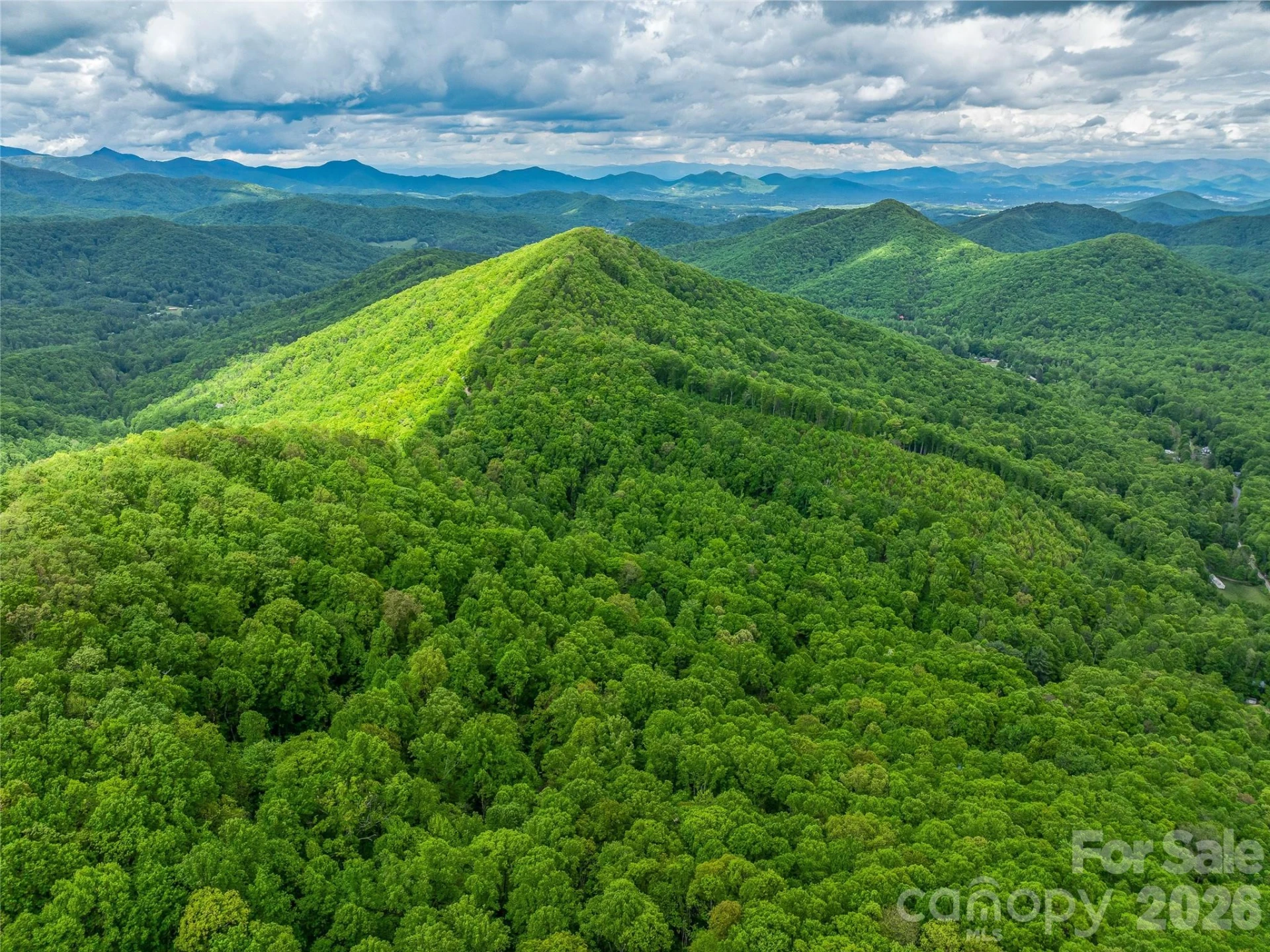 59 Pisgah Mountain Trail - Photo 73