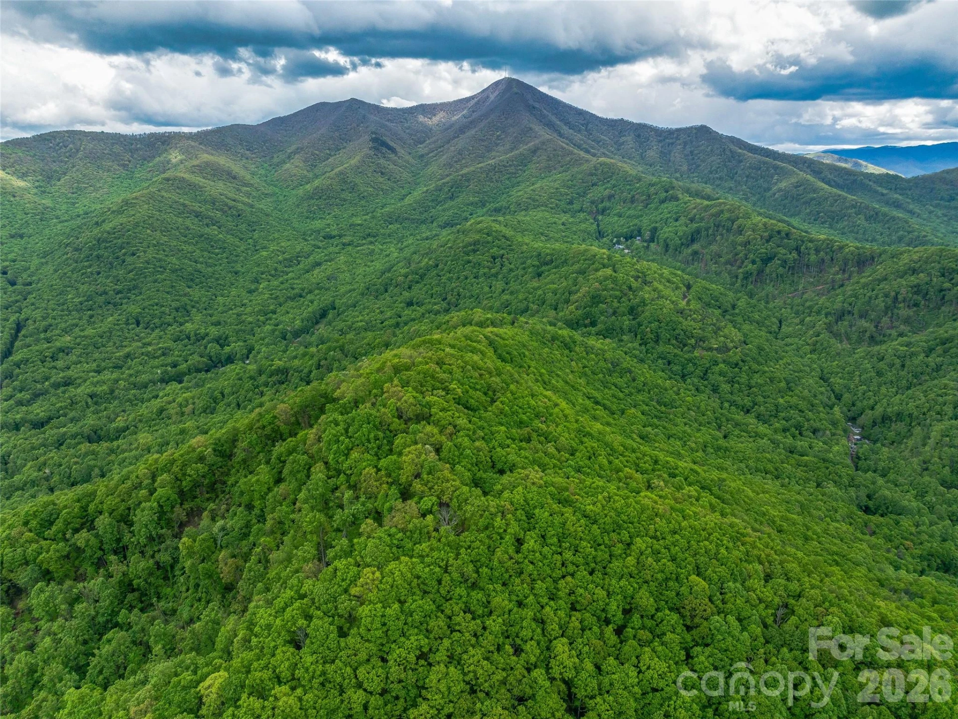 59 Pisgah Mountain Trail - Photo 75
