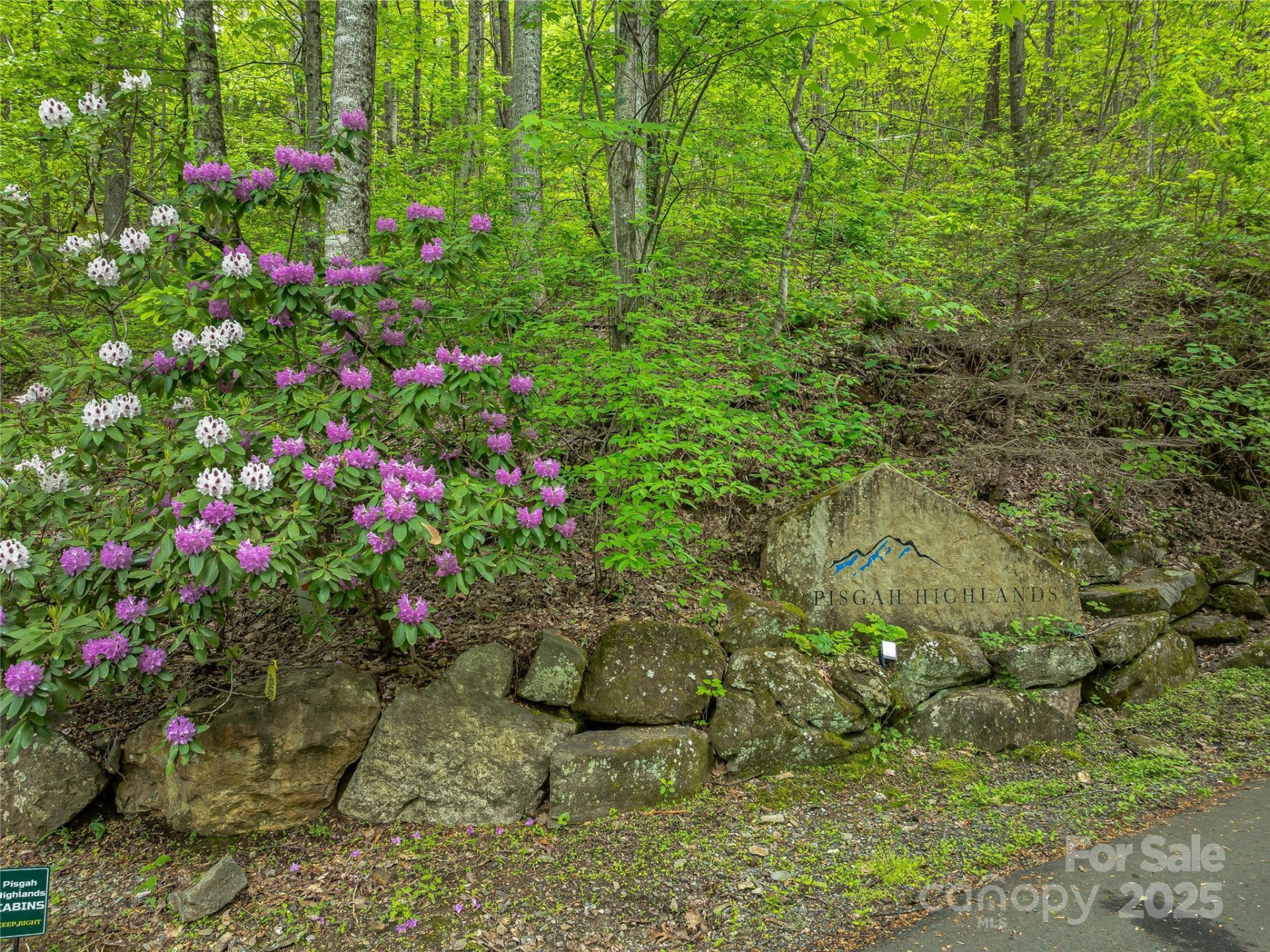 59 Pisgah Mountain Trail - Photo 39
