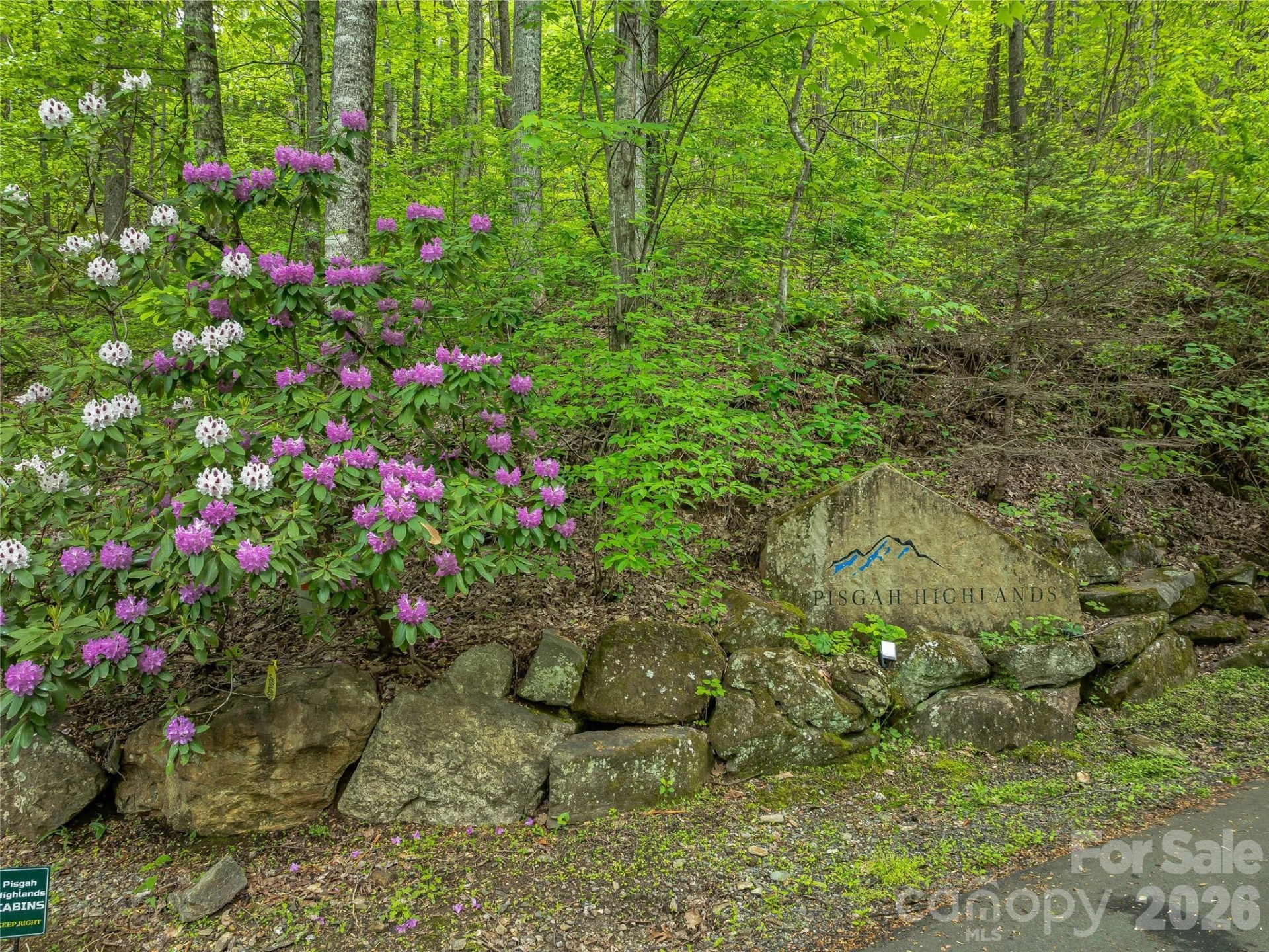 59 Pisgah Mountain Trail - Photo 77