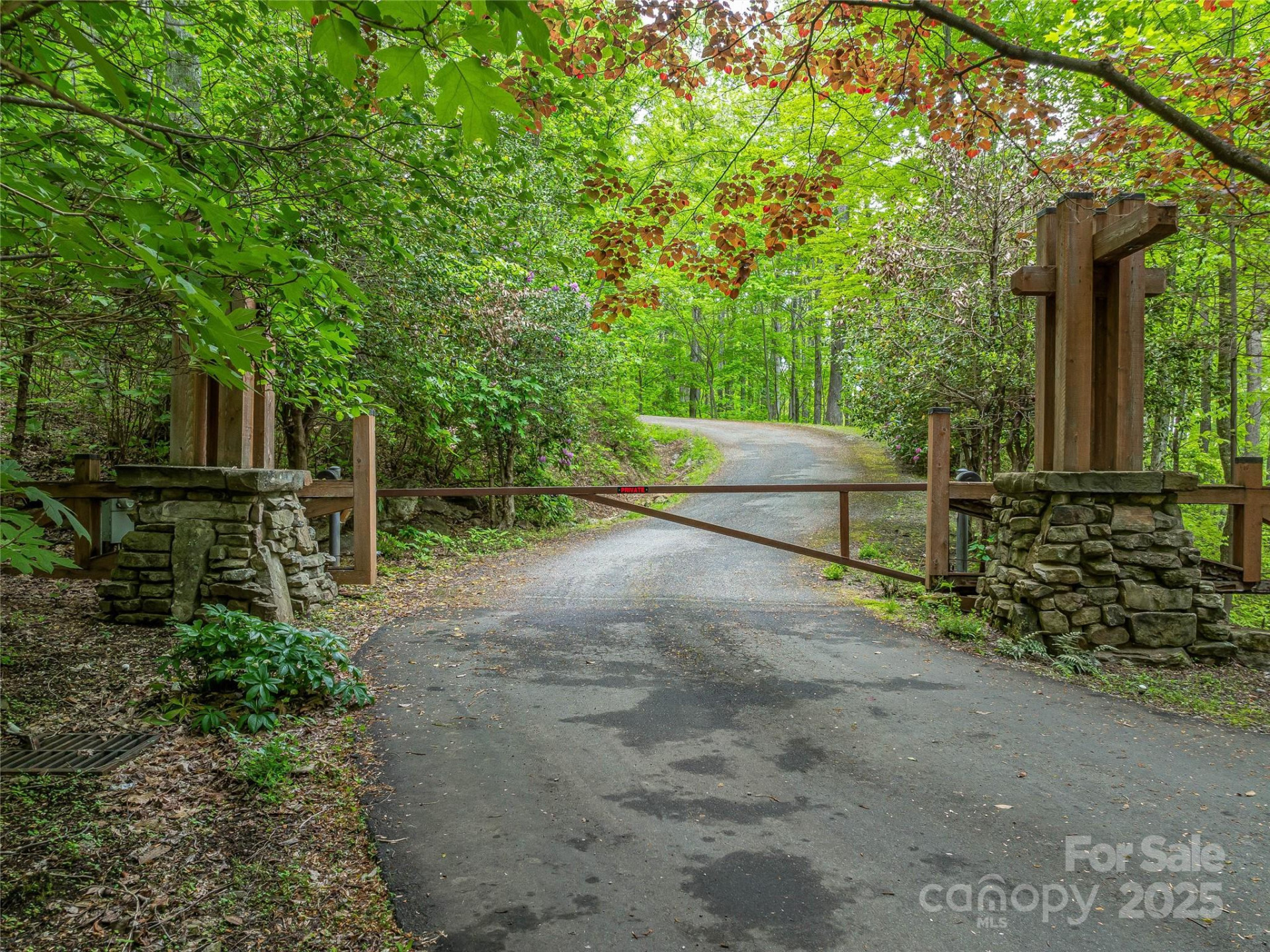 59 Pisgah Mountain Trail - Photo 40
