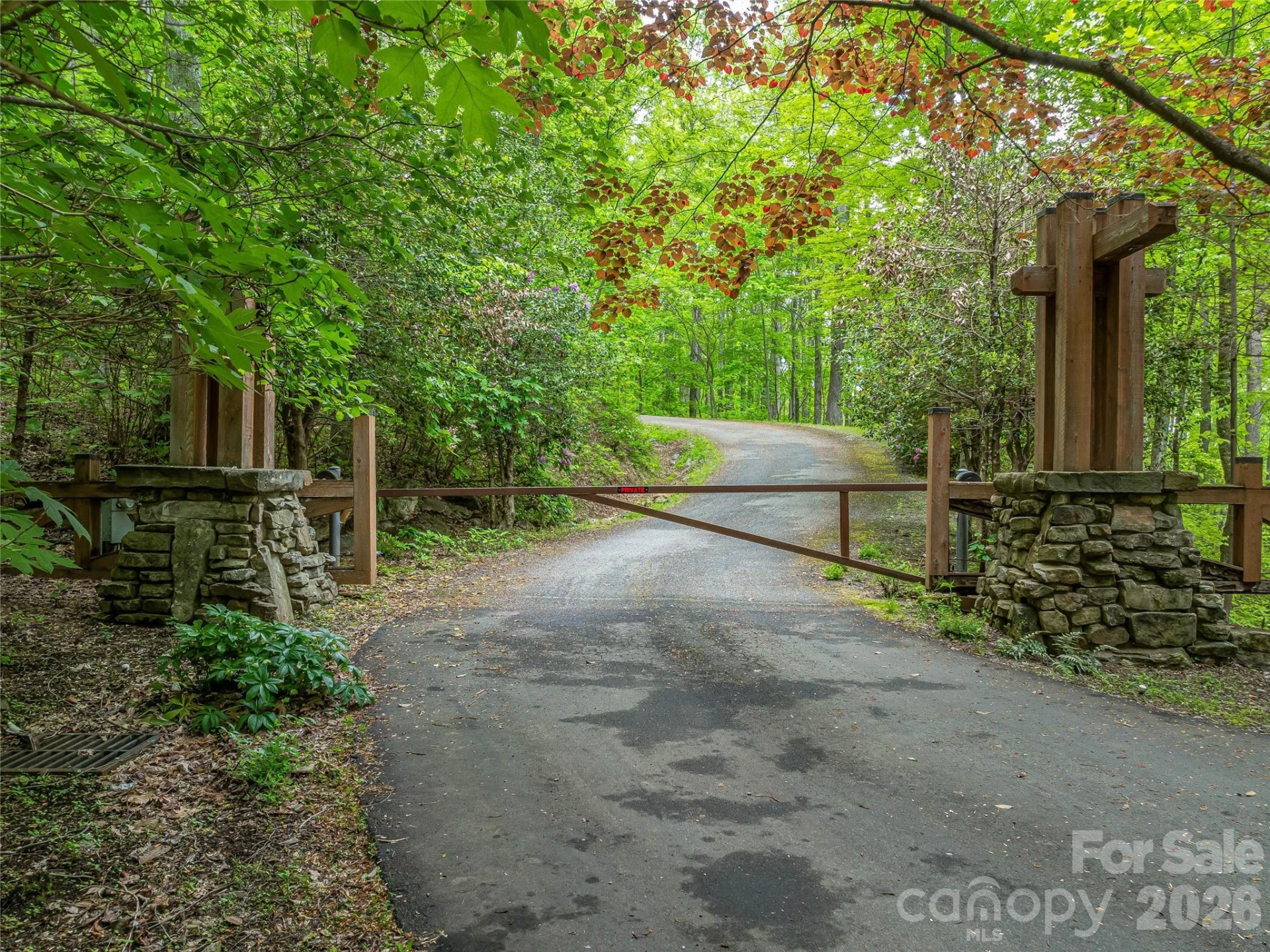 59 Pisgah Mountain Trail - Photo 79