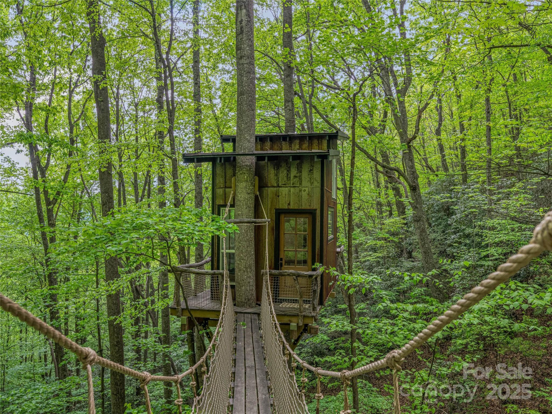 59 Pisgah Mountain Trail - Photo 5