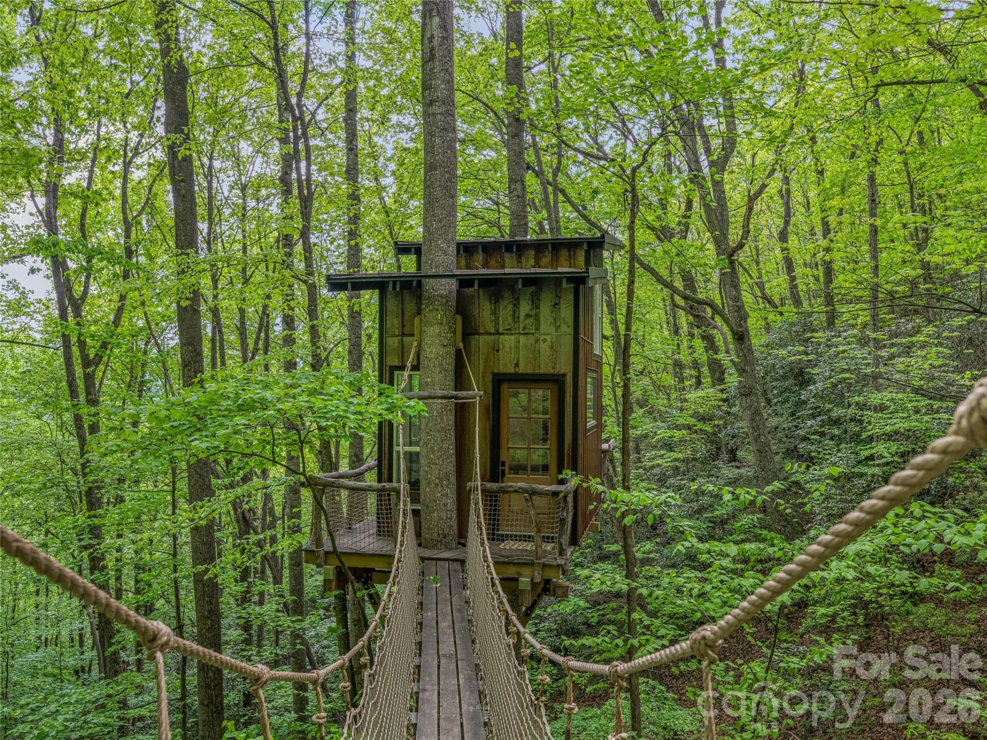 59 Pisgah Mountain Trail - Photo 9