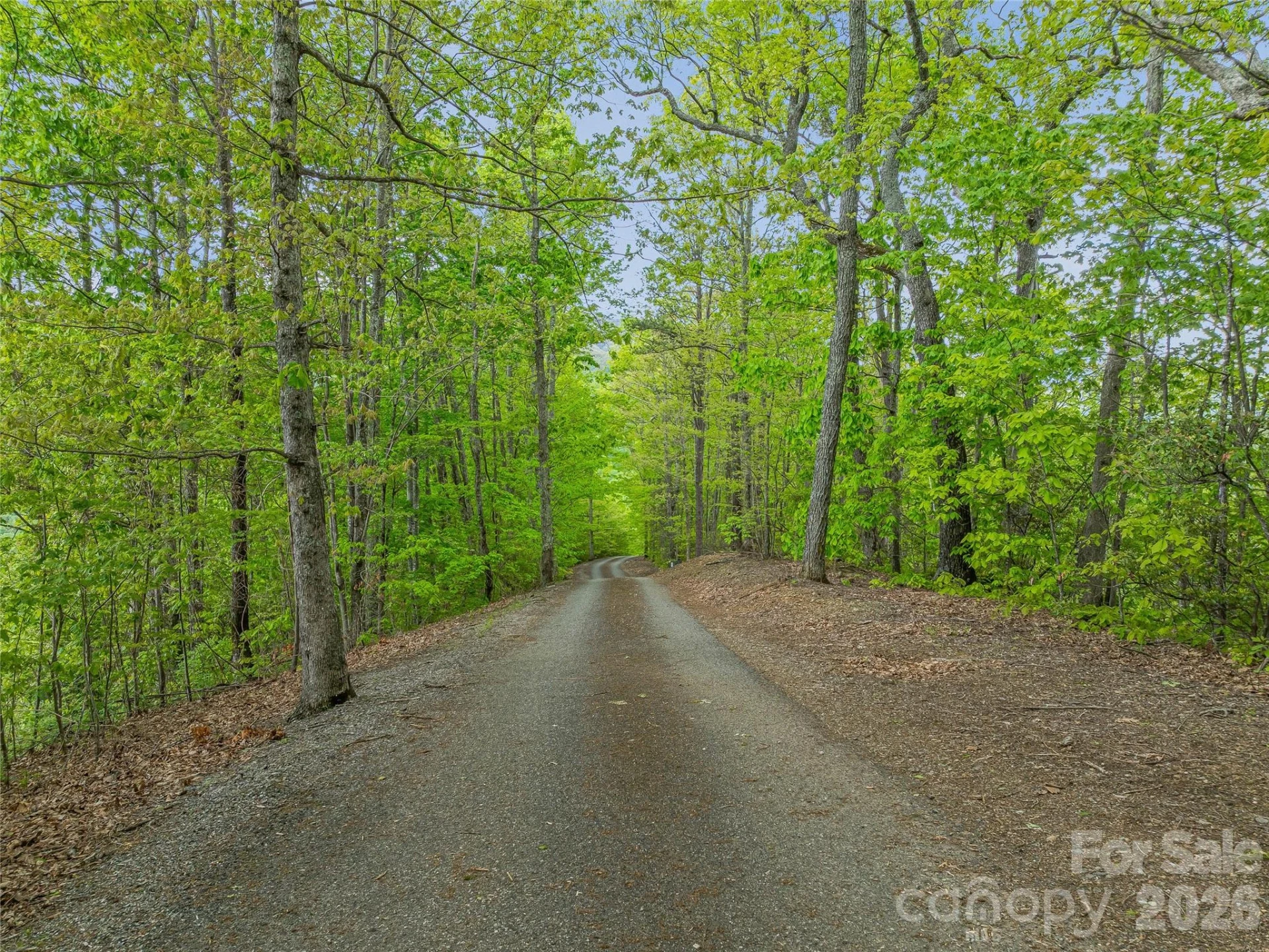 59 Pisgah Mountain Trail - Photo 17