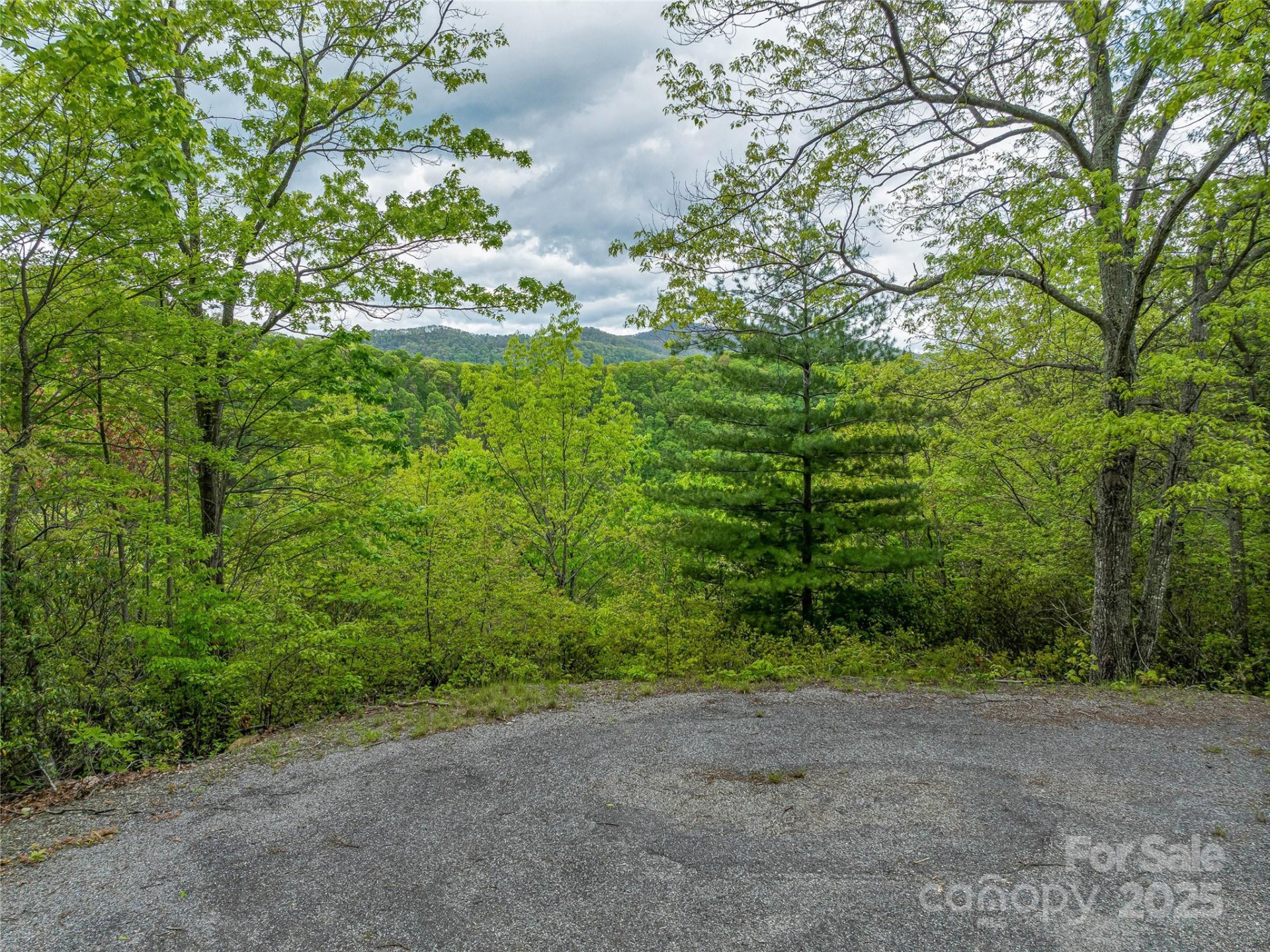 59 Pisgah Mountain Trail - Photo 10