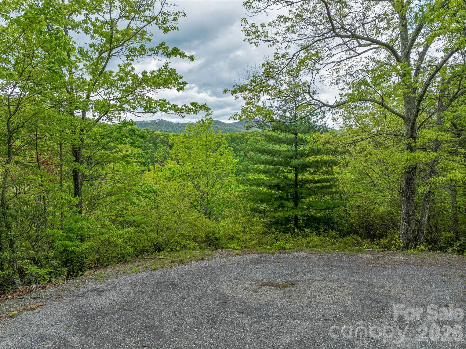 59 Pisgah Mountain Trail - Photo 19