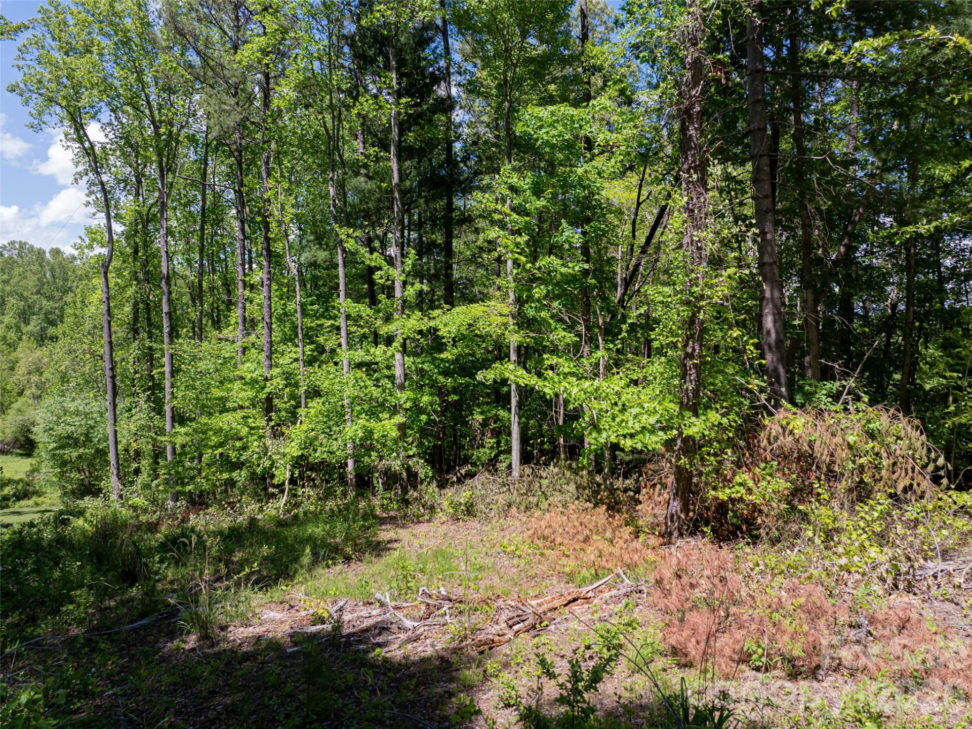 99999 Brevard Road - Photo 3