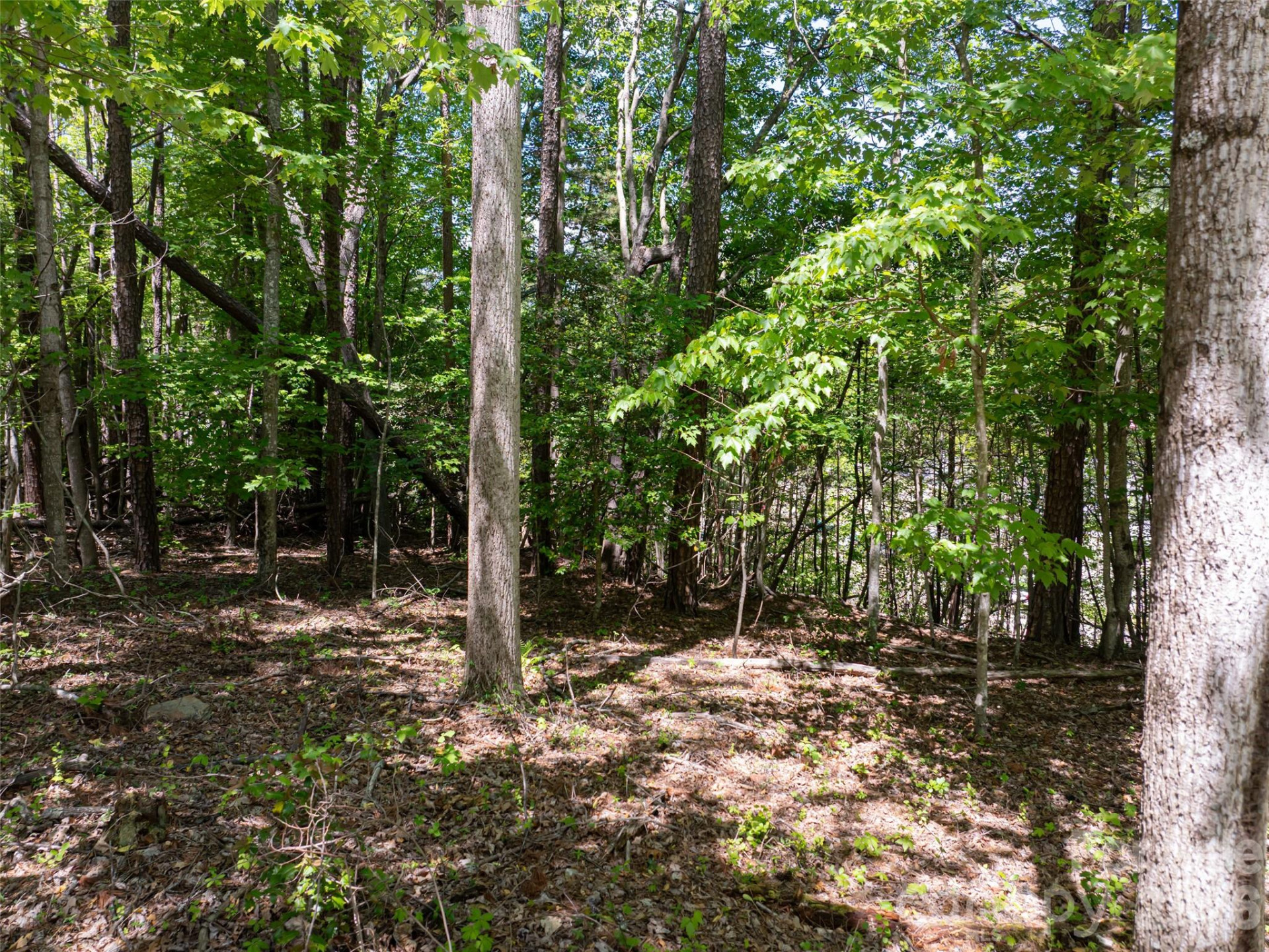 99999 Brevard Road - Photo 7