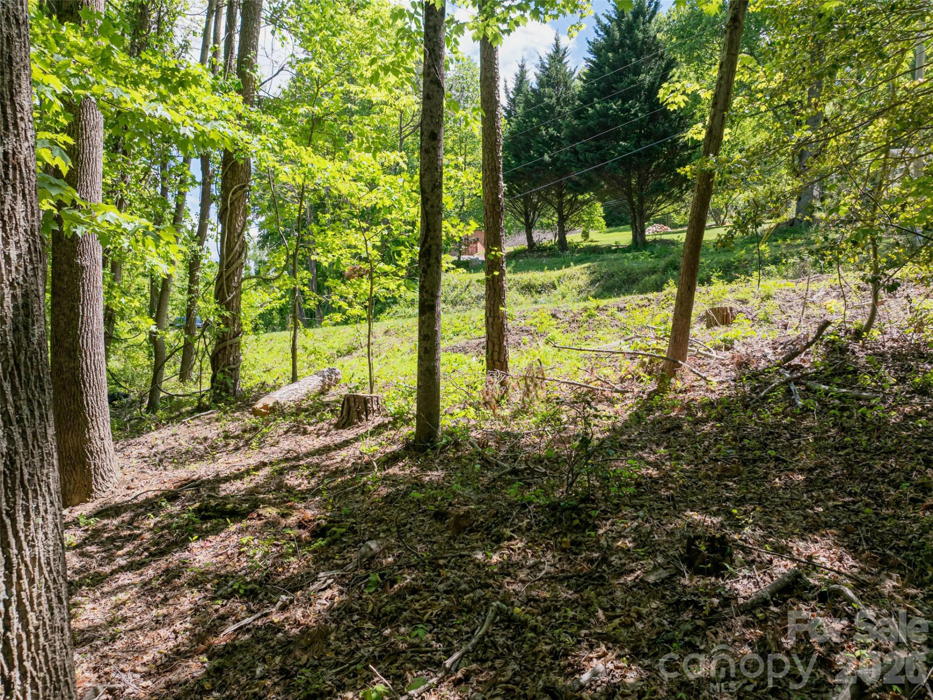 99999 Brevard Road - Photo 11