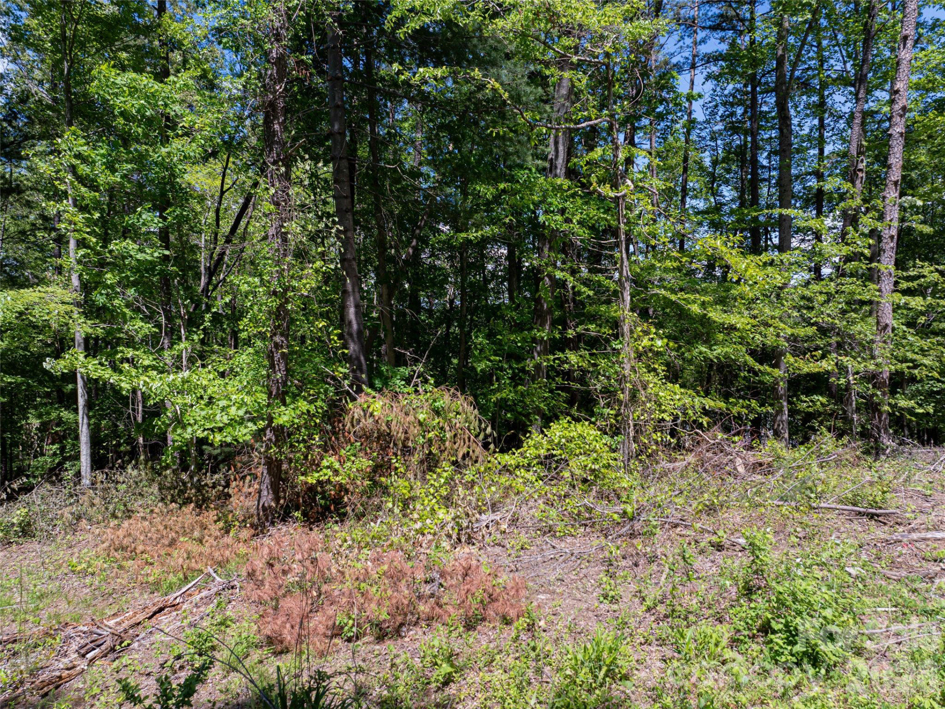 99999 Brevard Road - Photo 13