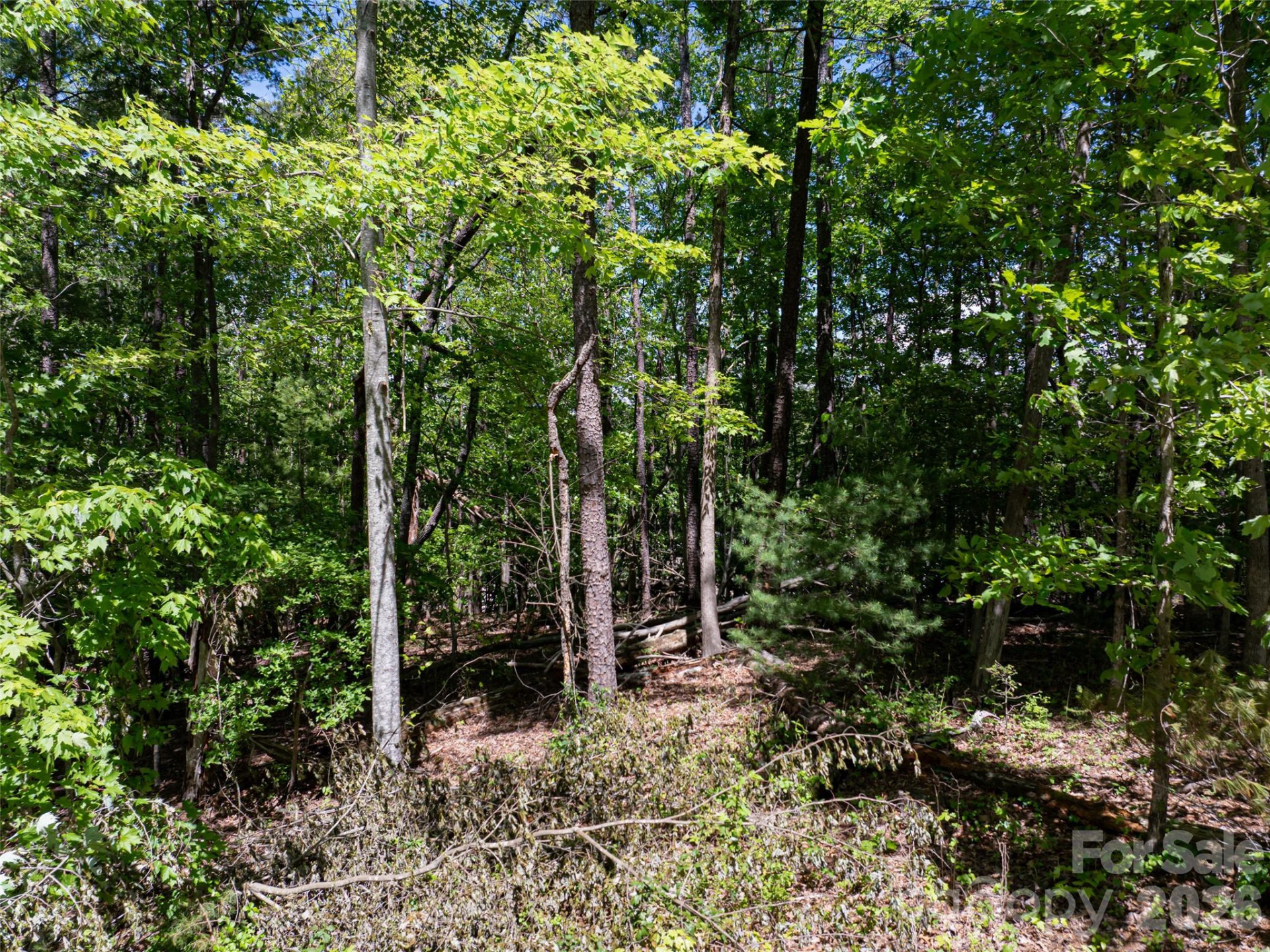 99999 Brevard Road - Photo 15