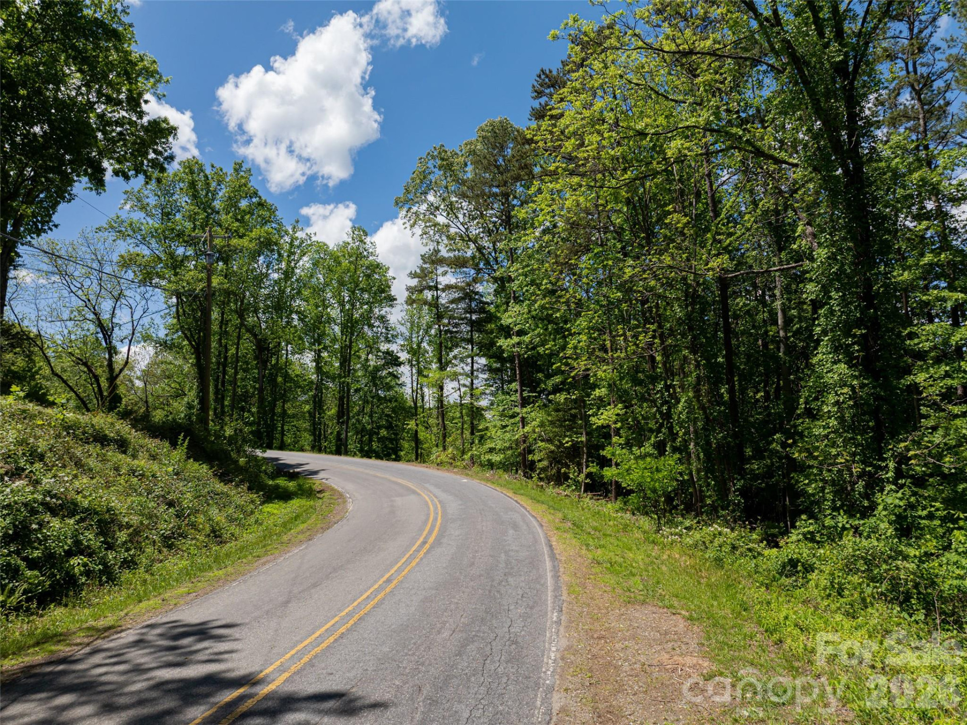 99999 Brevard Road - Photo 17